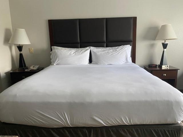 Holiday Inn Express Hotel & Suites Hinesville by IHG photo 25