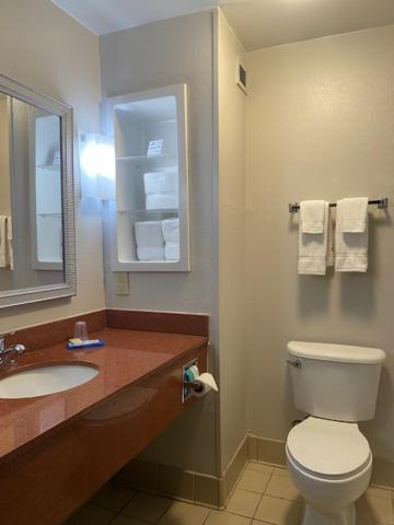 Holiday Inn Express Hotel & Suites Hinesville by IHG photo 9