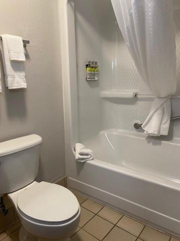 Holiday Inn Express Hotel & Suites Hinesville by IHG photo 8