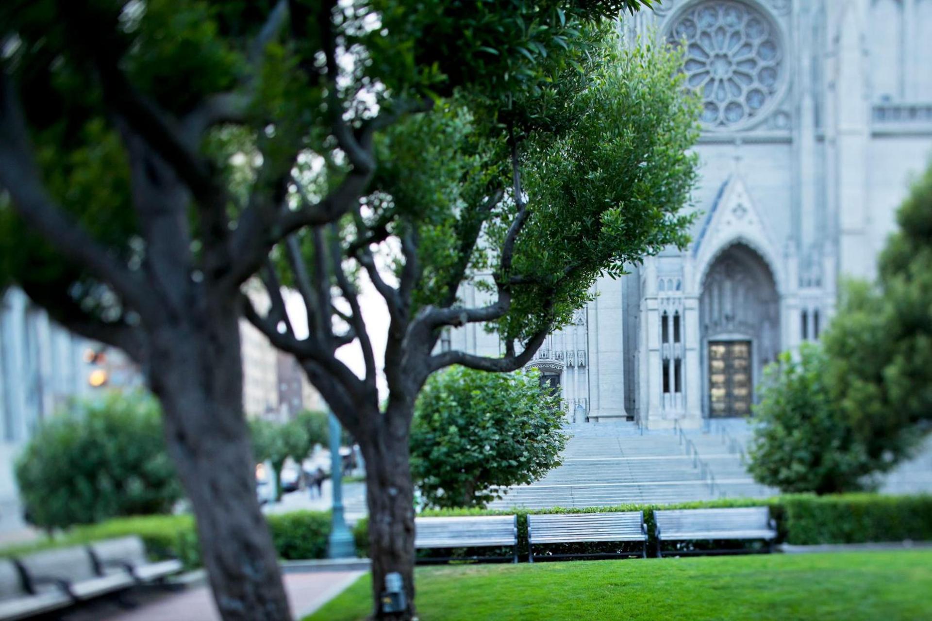 Stanford Court San Francisco photo 45