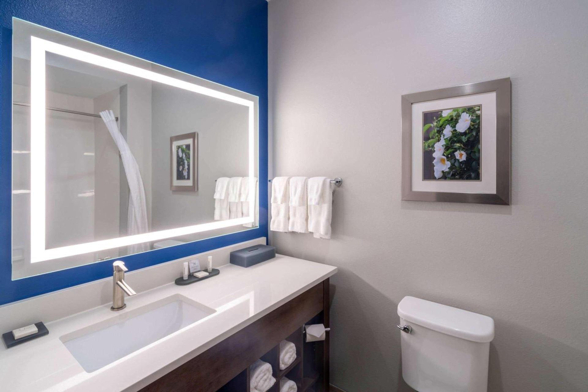 La Quinta Inn & Suites by Wyndham Tifton photo 21