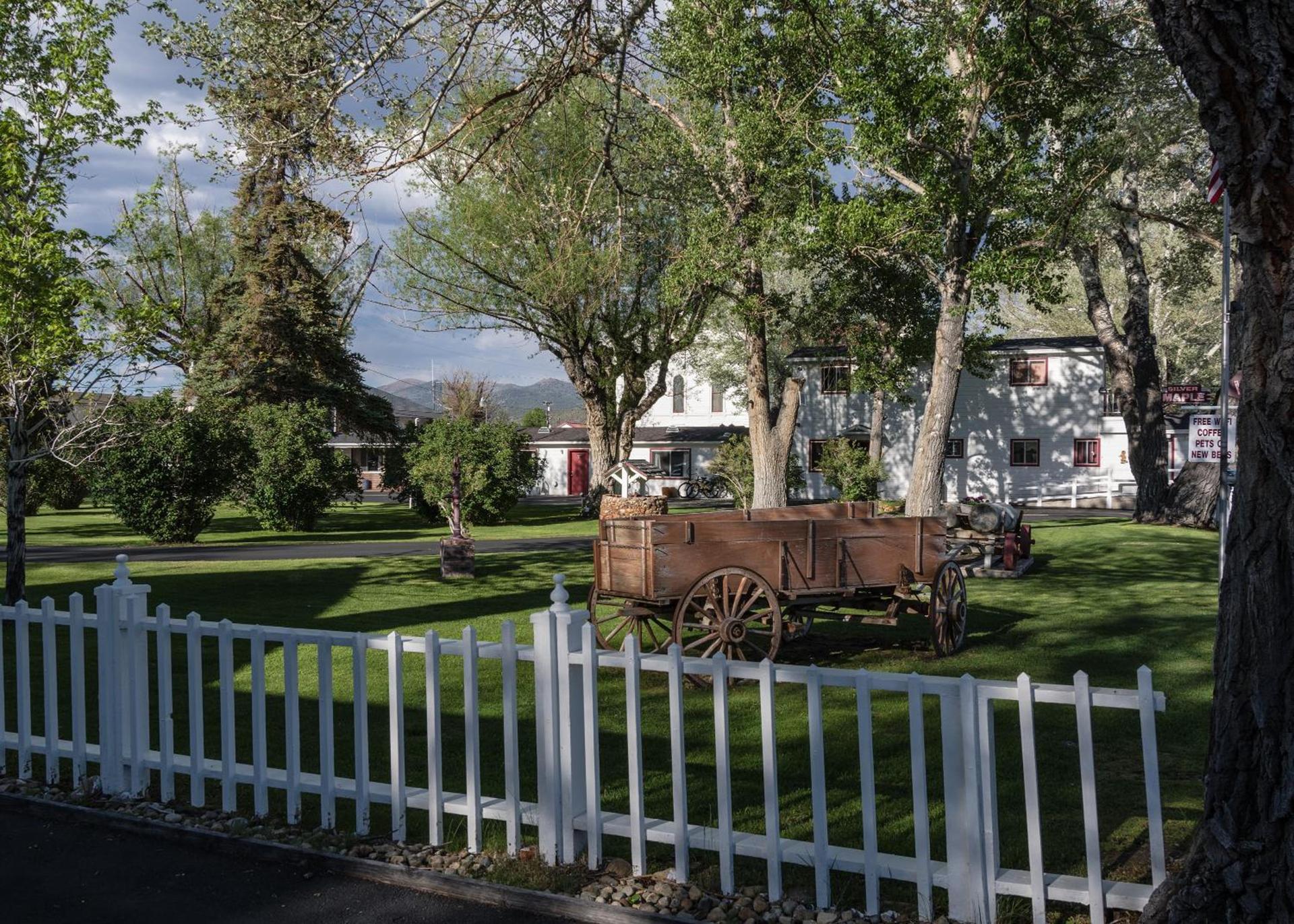 Silver Maple Inn photo 43