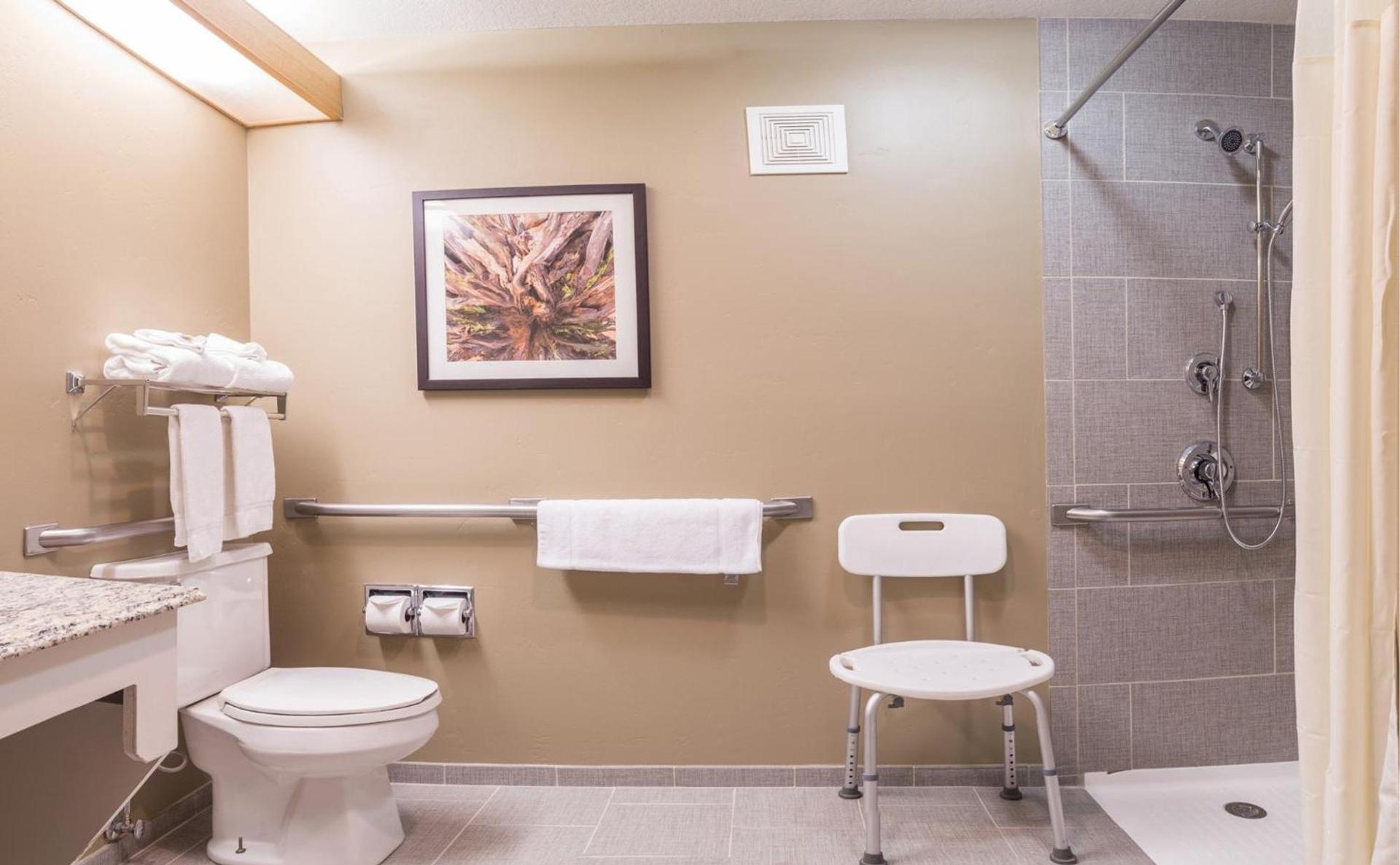 Gray Wolf Inn & Suites photo 40