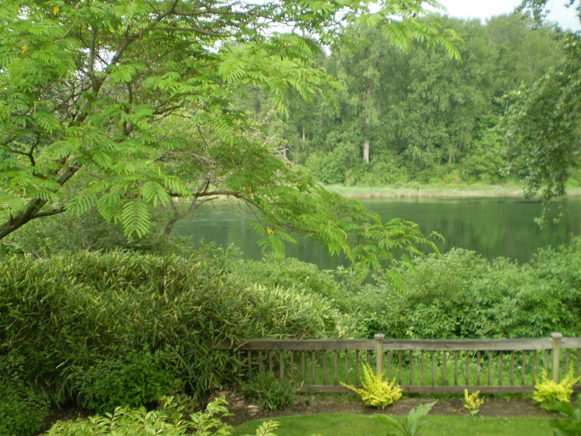 Lewis River Inn photo 21