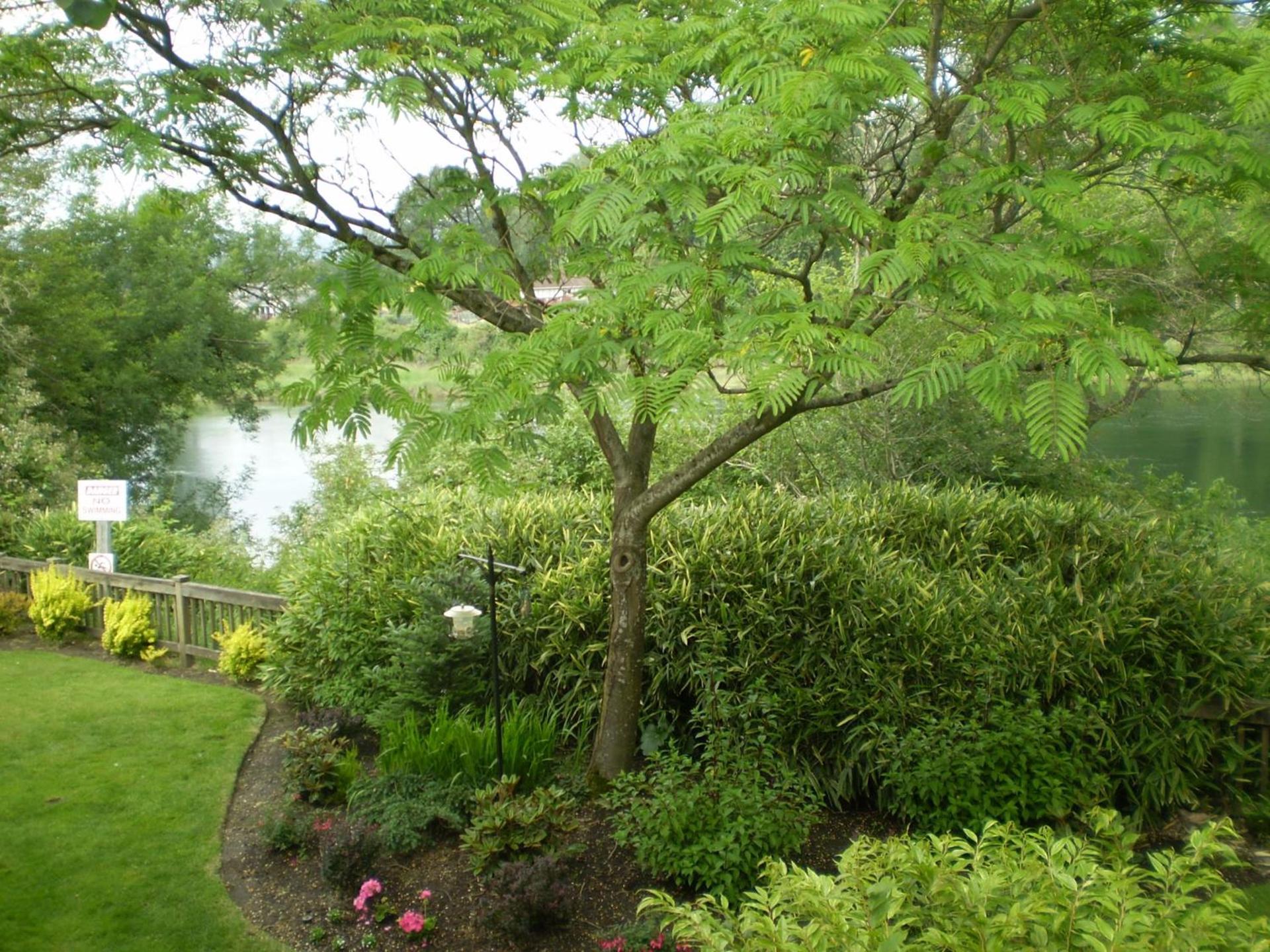 Lewis River Inn photo 22