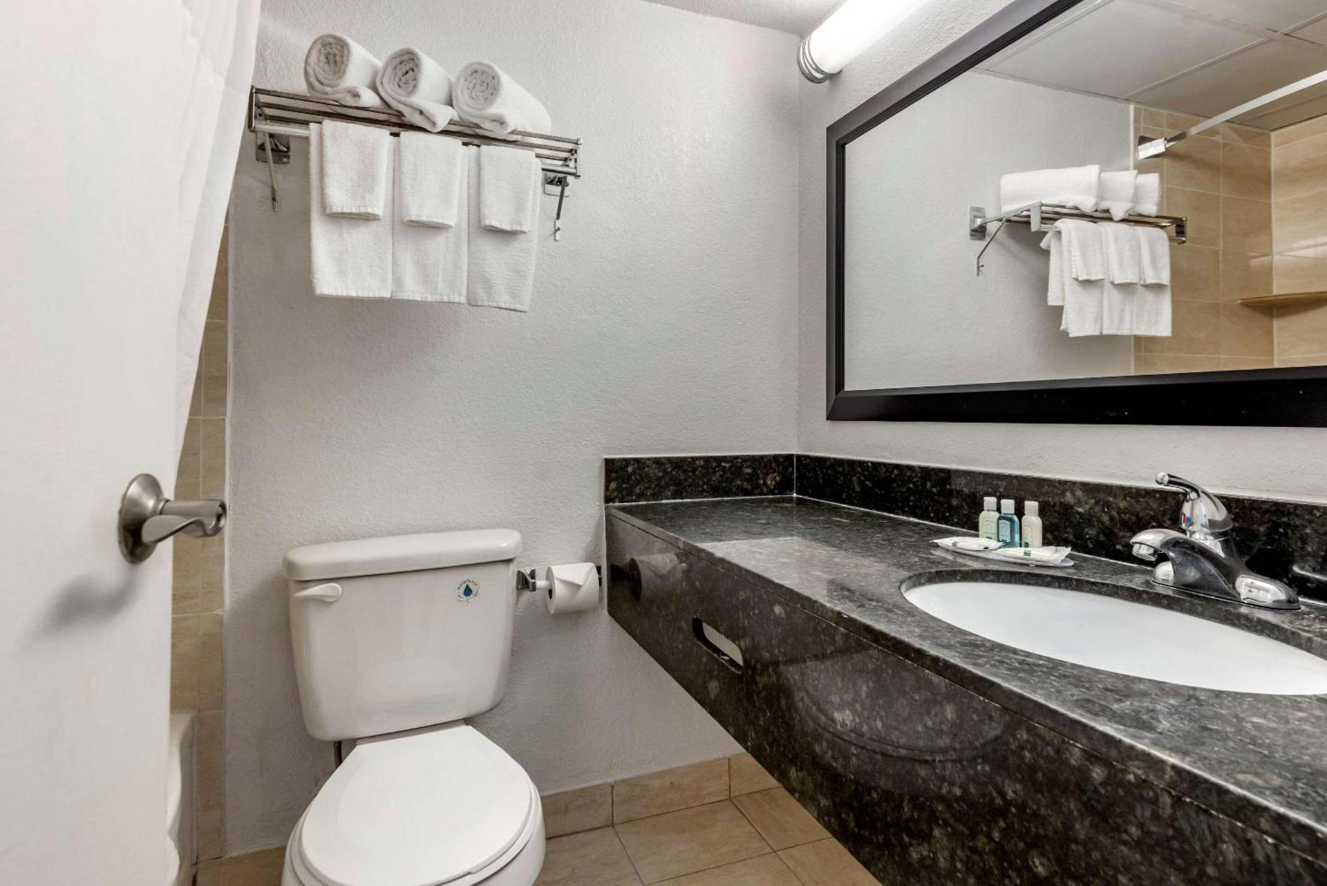 Quality Inn & Suites Vestal Binghamton near University photo 21
