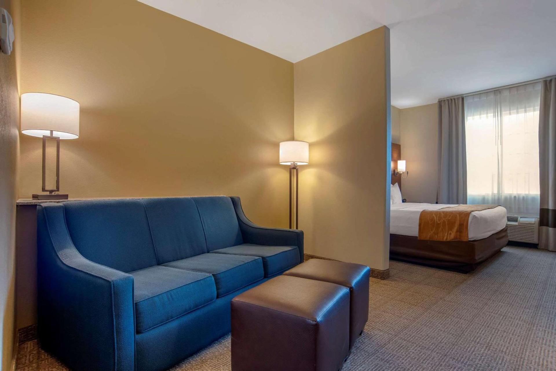 Comfort Suites Alexandria North photo 8