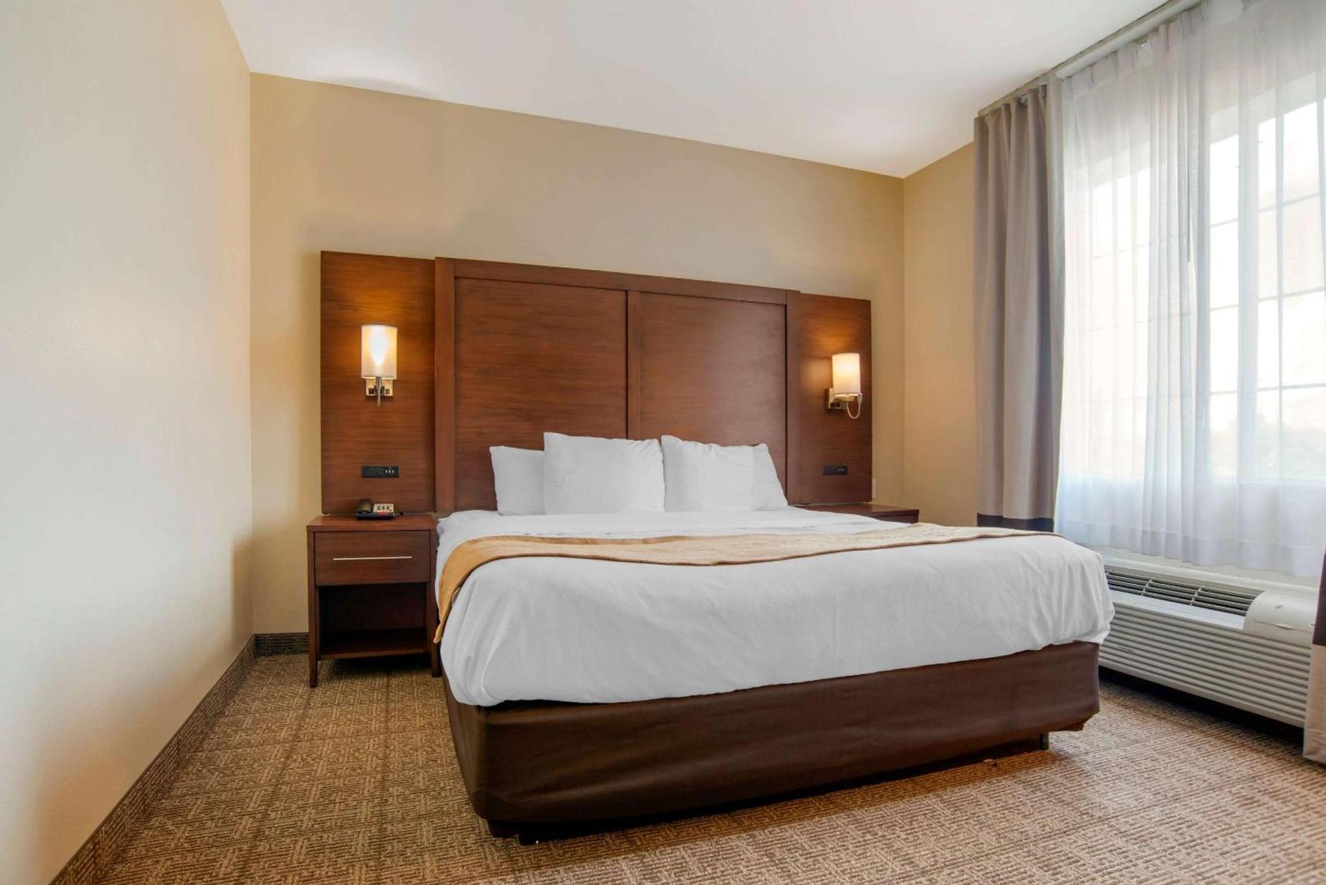 Comfort Suites Alexandria North photo 16