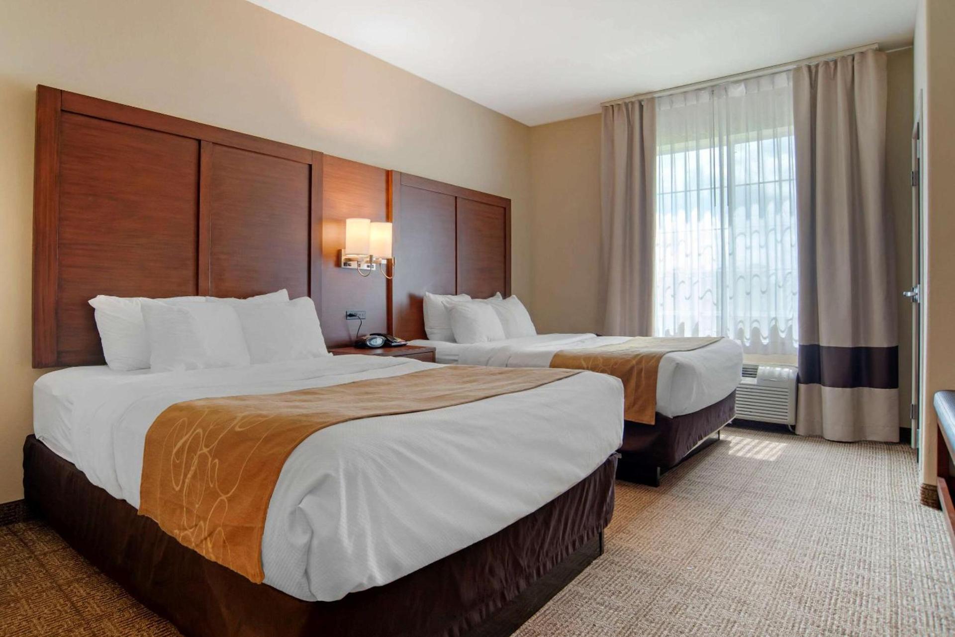 Comfort Suites Alexandria North photo 19