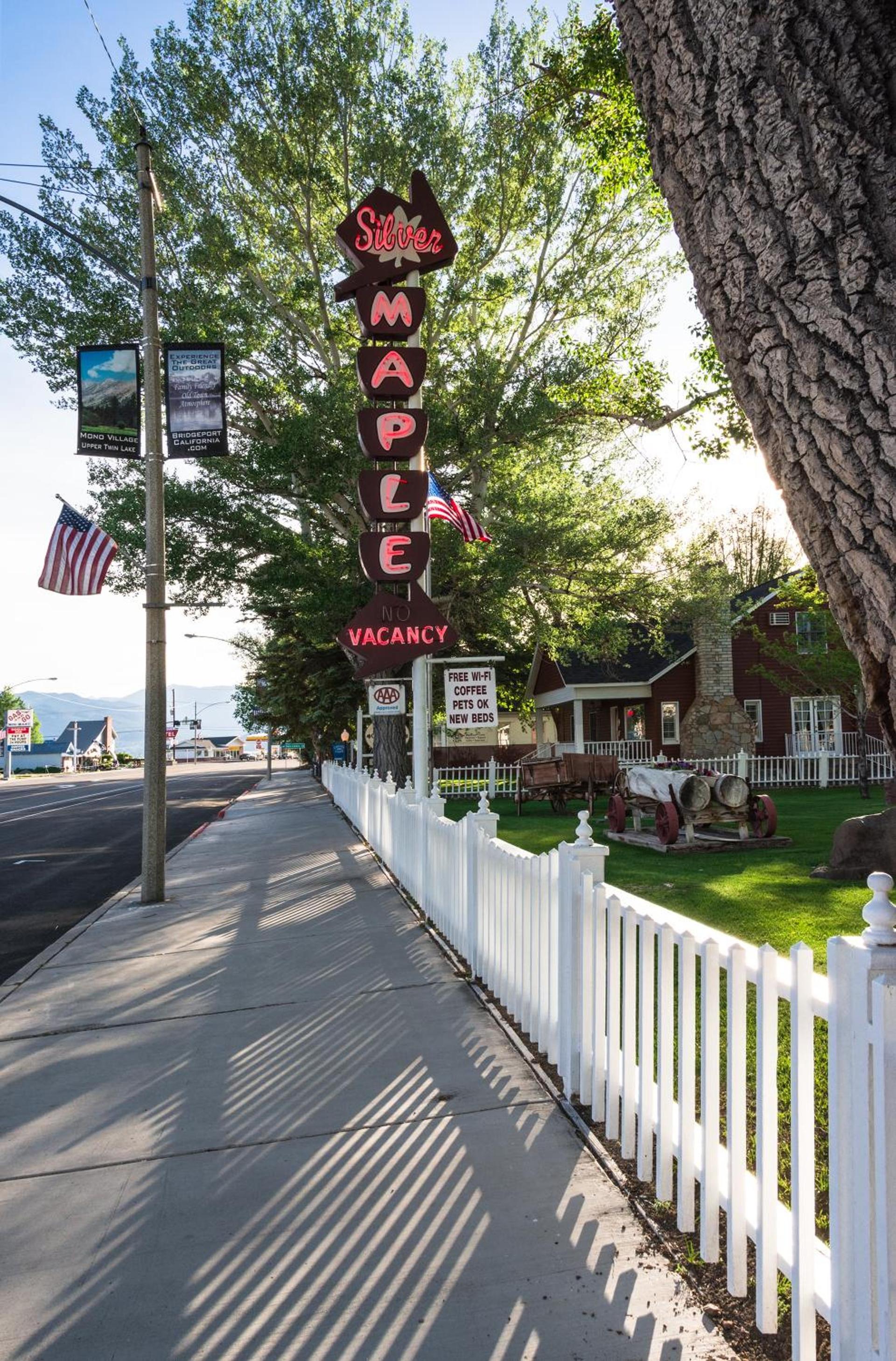 Silver Maple Inn photo 50