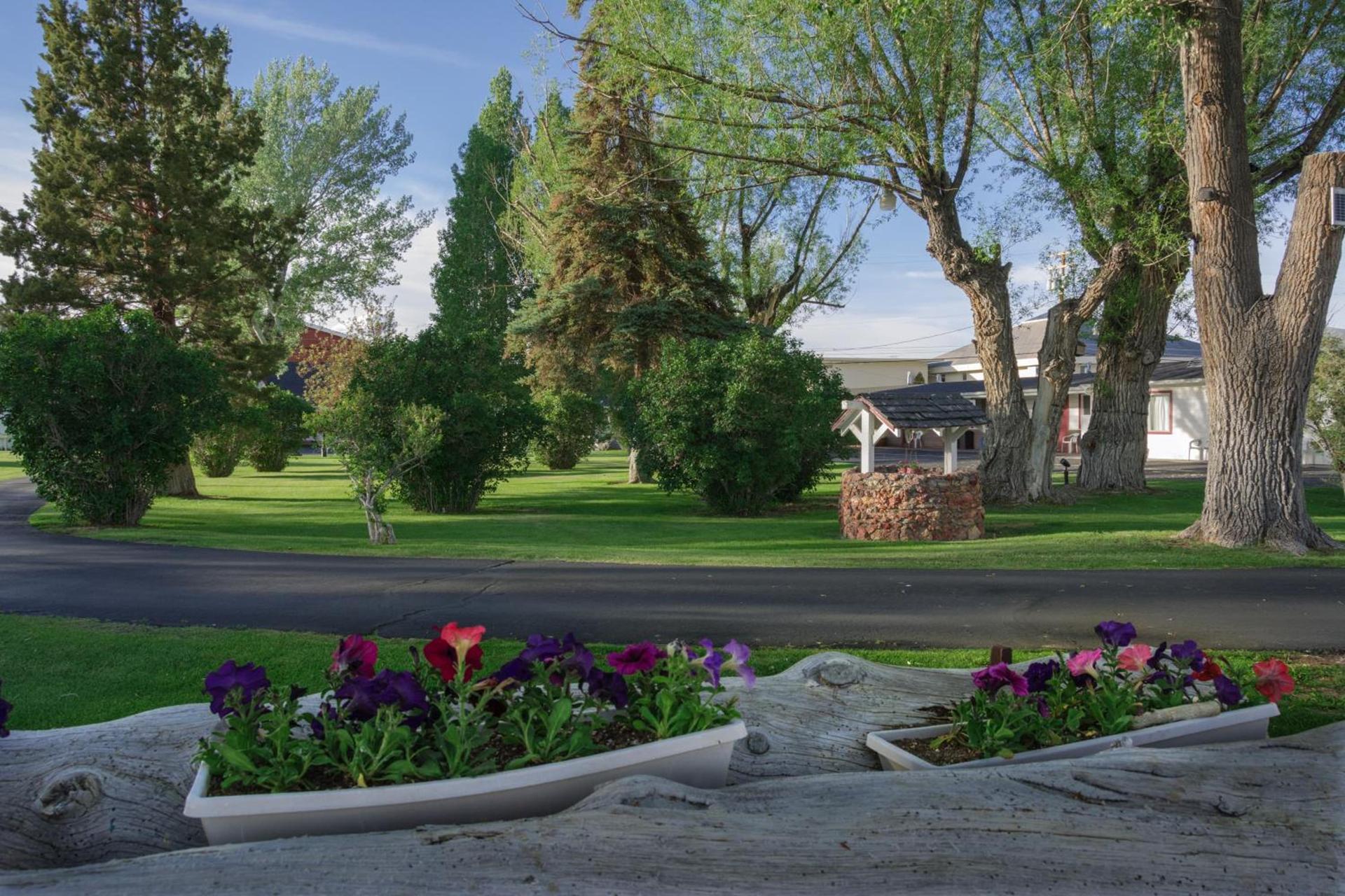 Silver Maple Inn photo 51