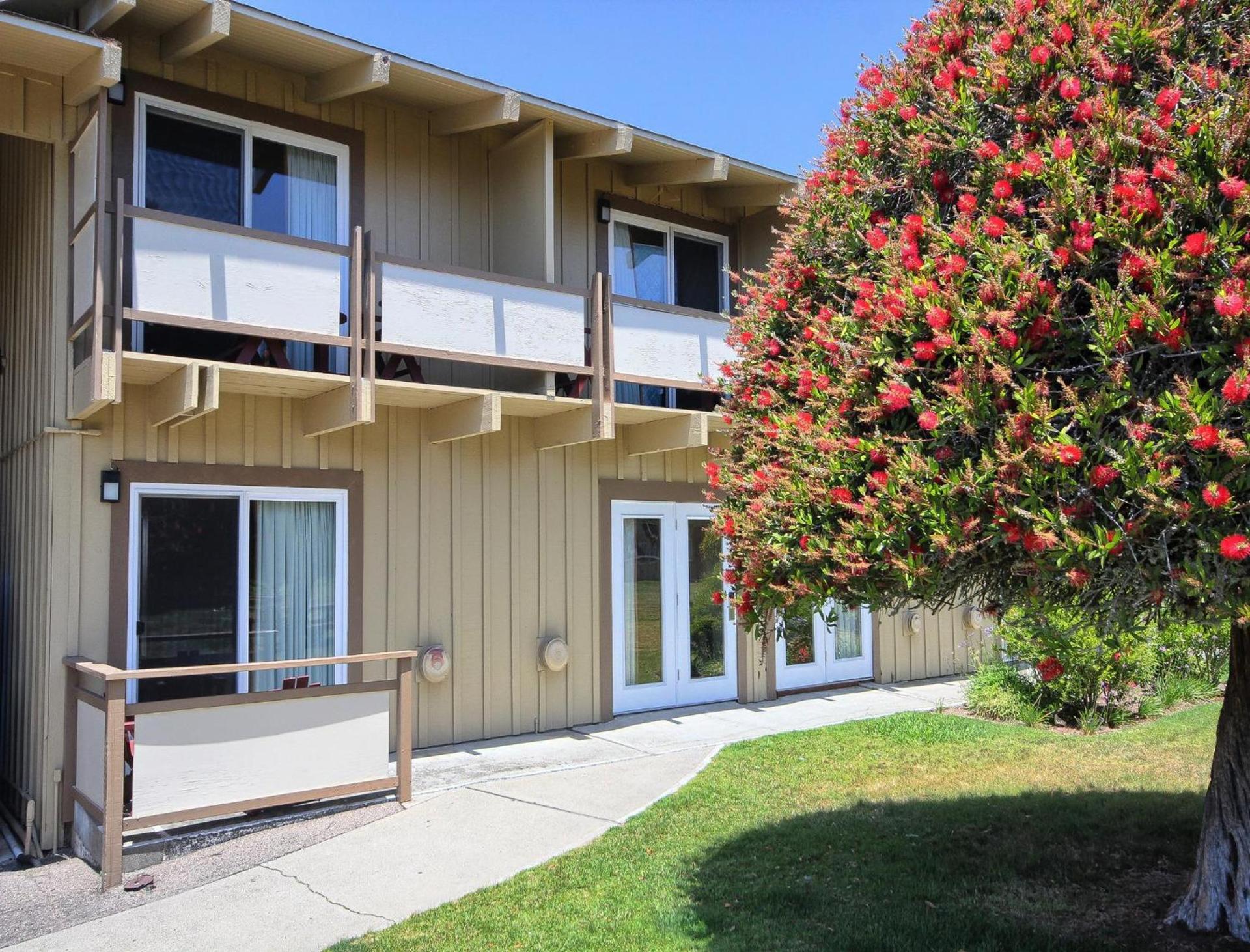 Silver Surf Motel photo 51