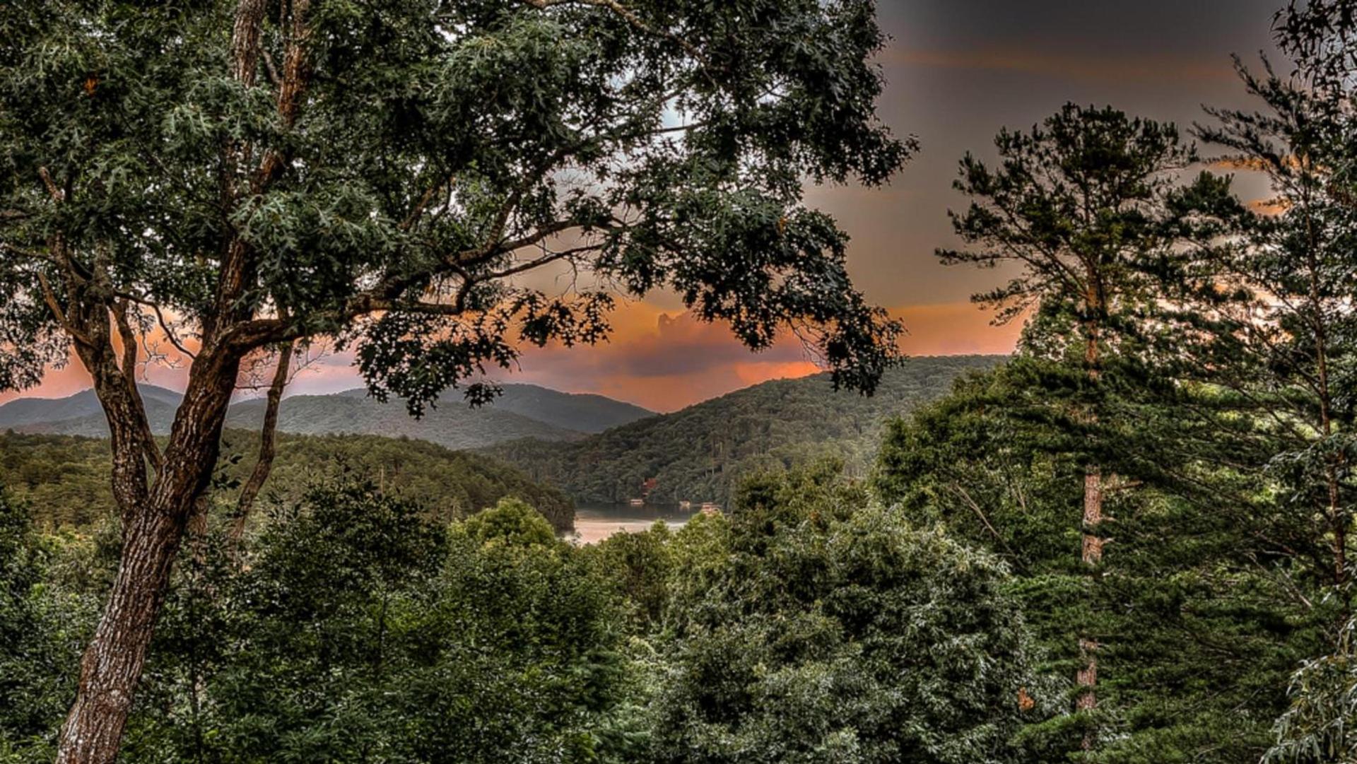 Bearway to Heaven photo 37