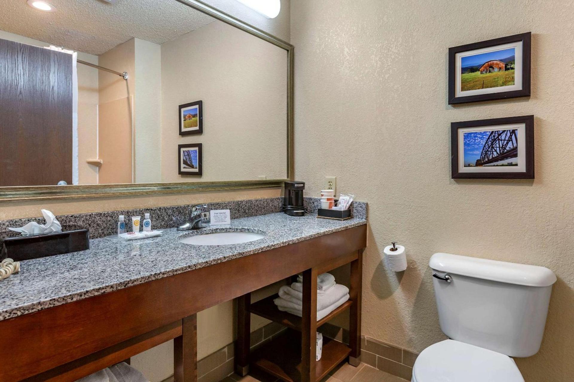 Comfort Suites Jonesboro University Area photo 17