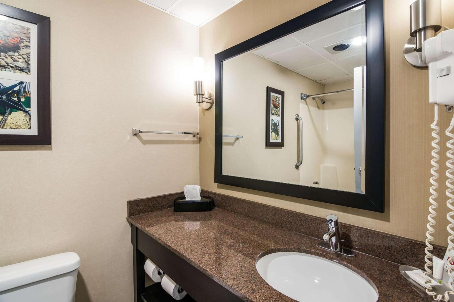 Clarion Pointe Jamestown - Falconer photo 19