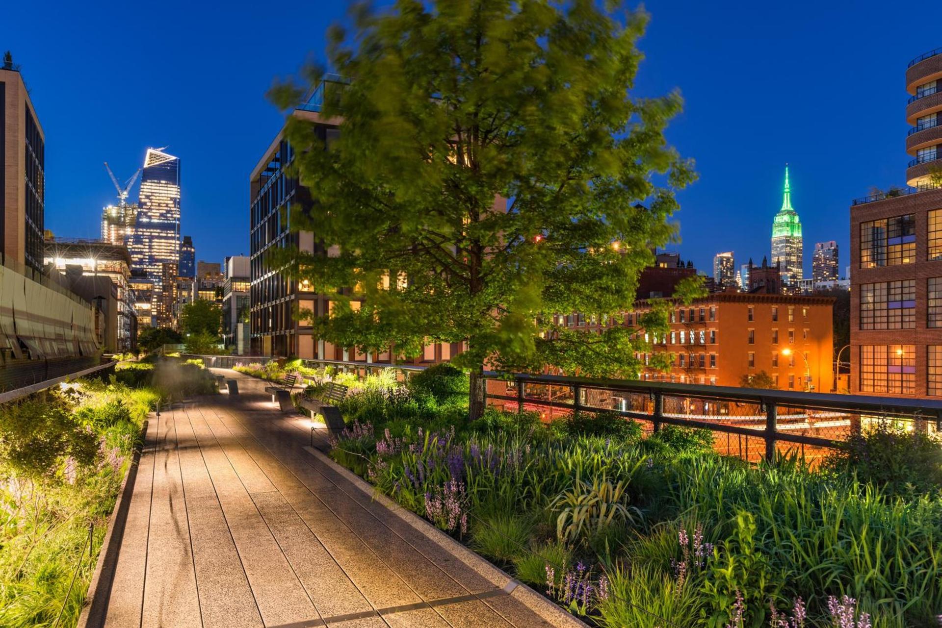 Kimpton Hotel Eventi by IHG photo 27