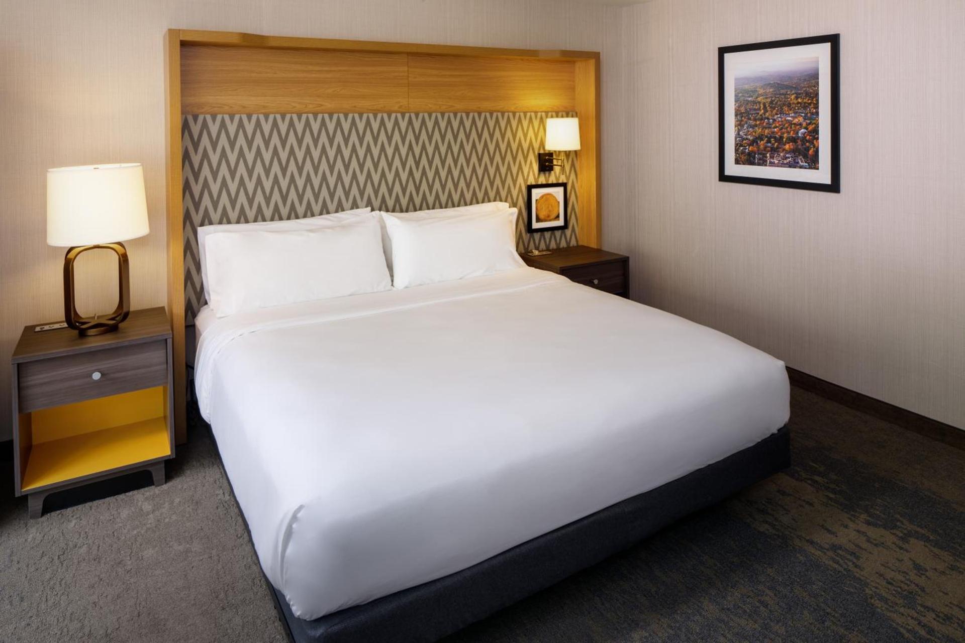 Holiday Inn Express & Suites Charlottesville by IHG photo 4