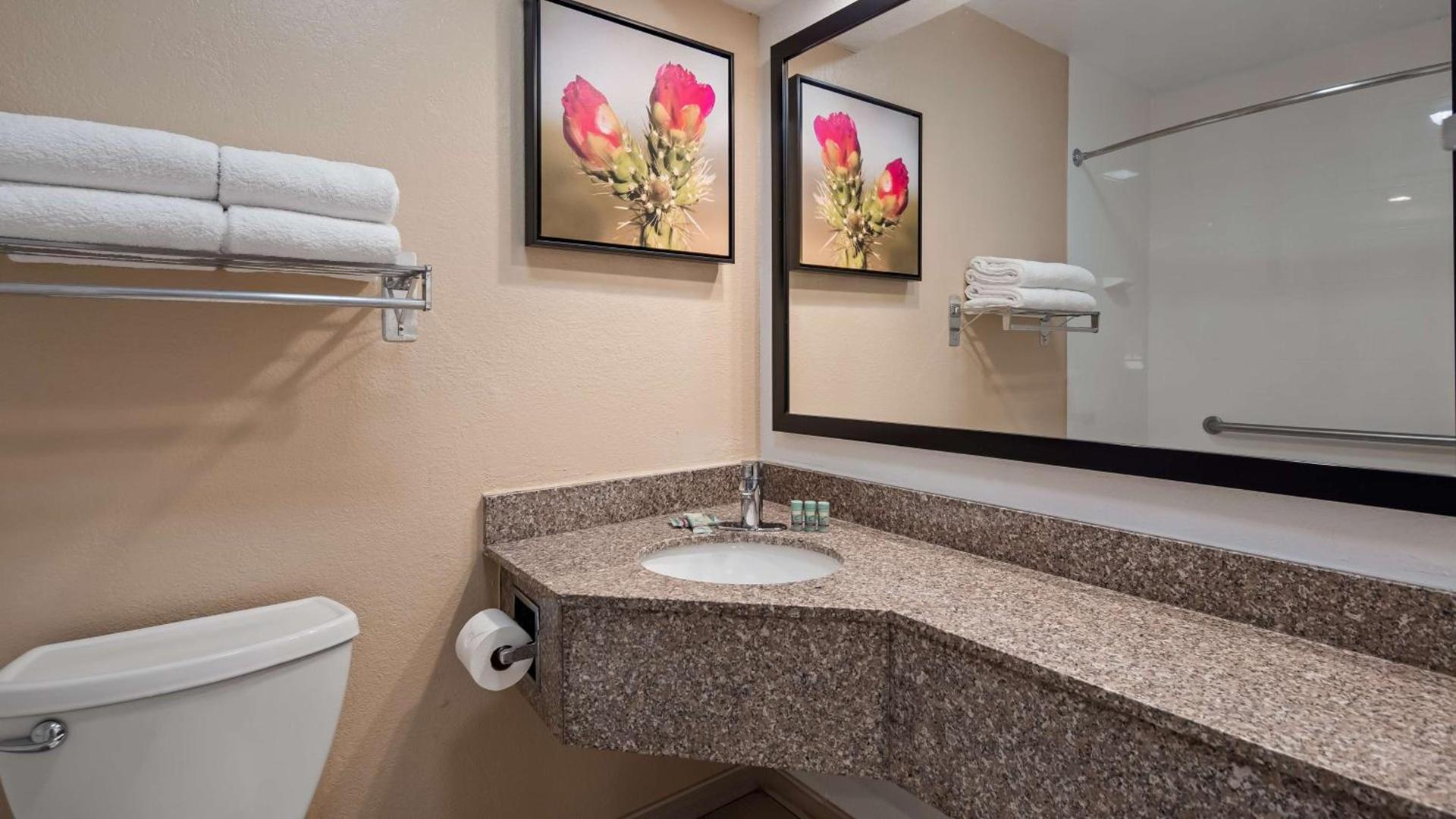 Best Western Santa Rosa Inn photo 31