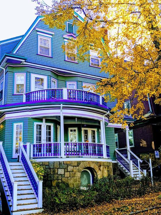 The Coolidge Corner Guest House: A Brookline Bed and Breakfast photo 36