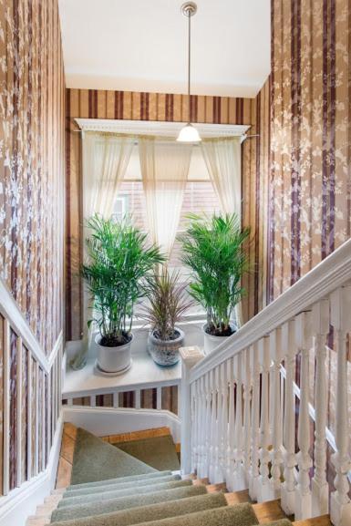 The Coolidge Corner Guest House: A Brookline Bed and Breakfast photo 37
