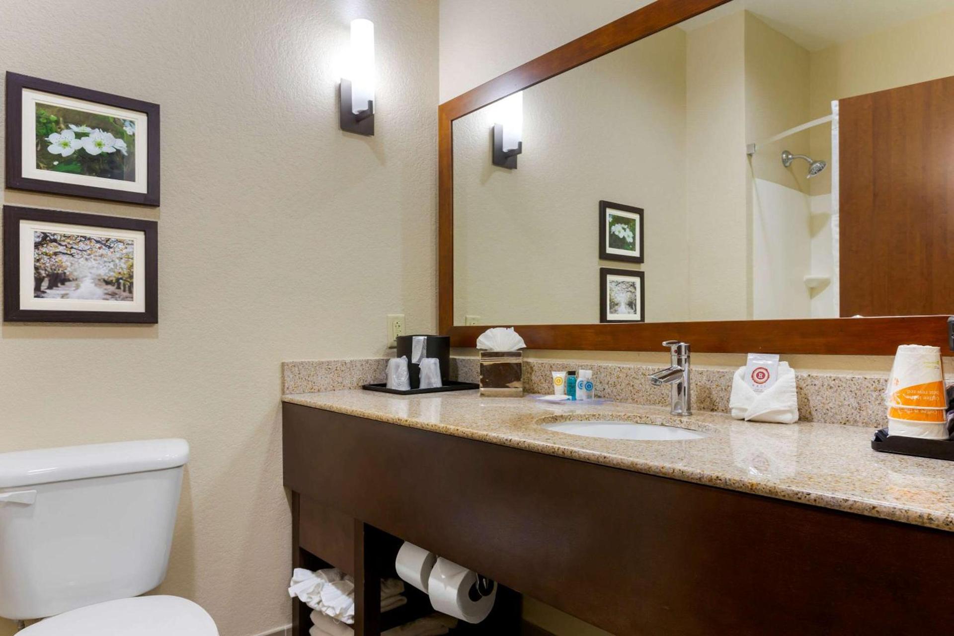 Comfort Suites Little Rock West photo 19