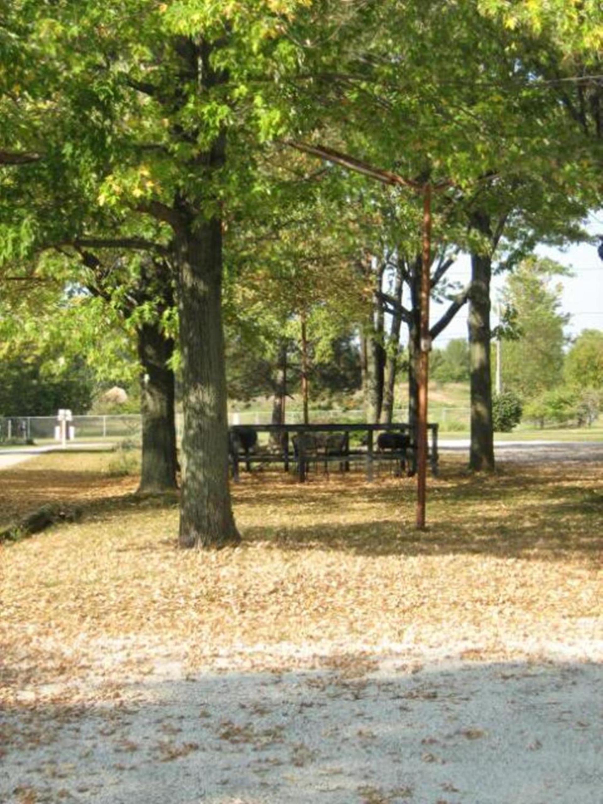 White Caps Motel and RV Park photo 46