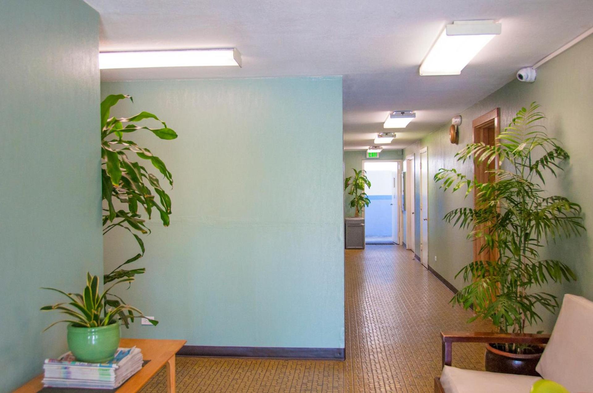 Holiday Surf Hotel (with full kitchen) photo 49