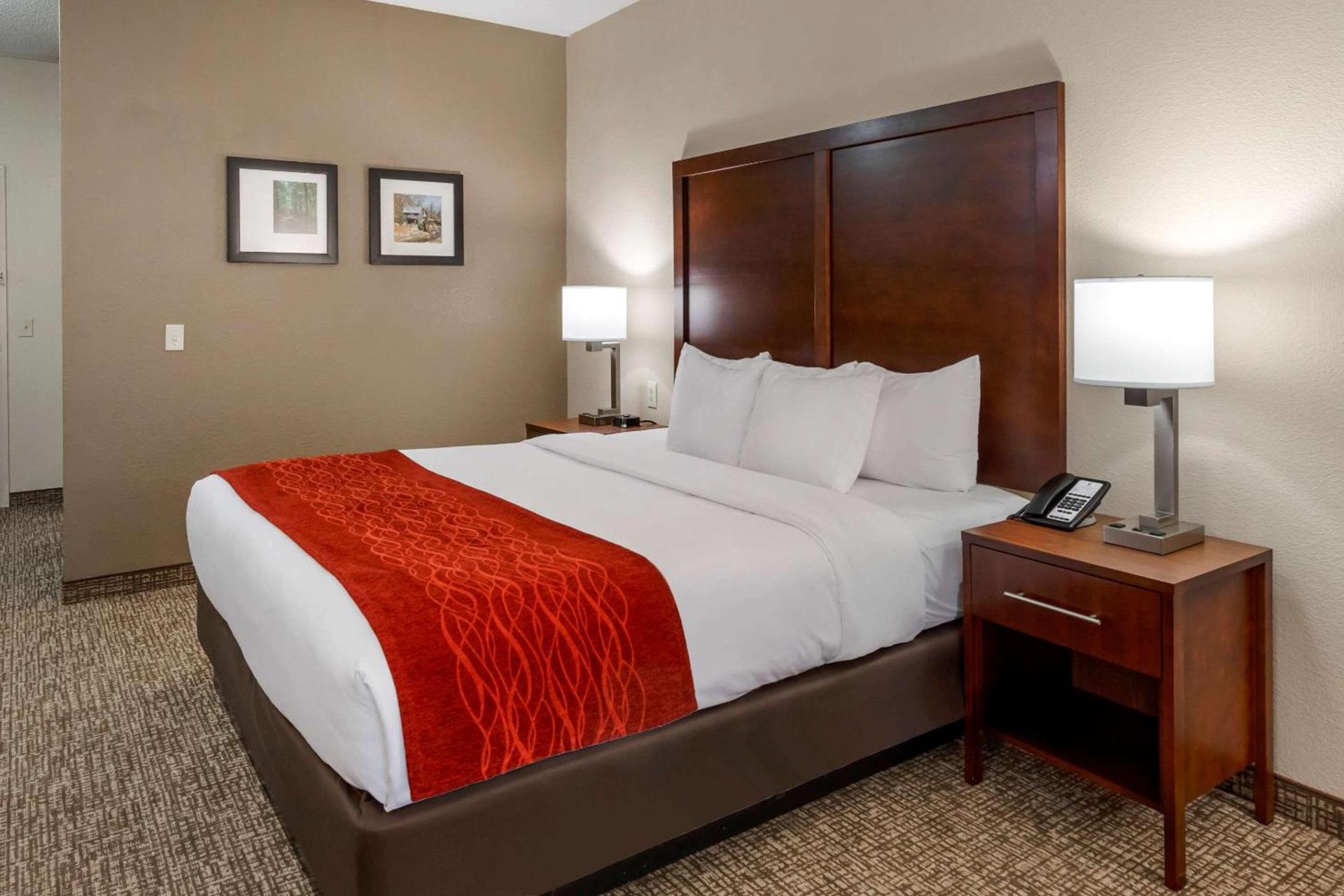 Comfort Inn & Suites Canton Riverstone Area photo 10