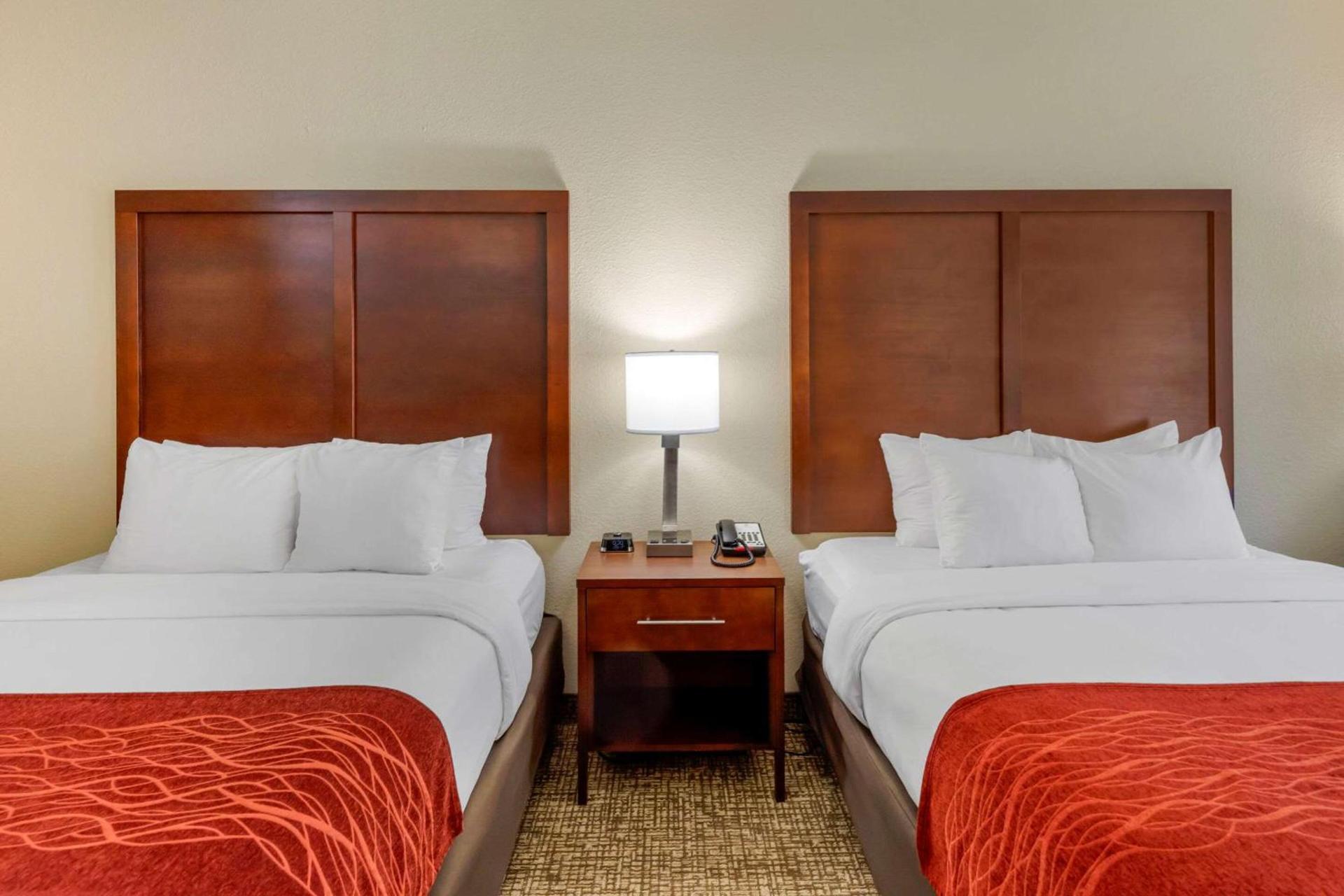 Comfort Inn & Suites Canton Riverstone Area photo 27