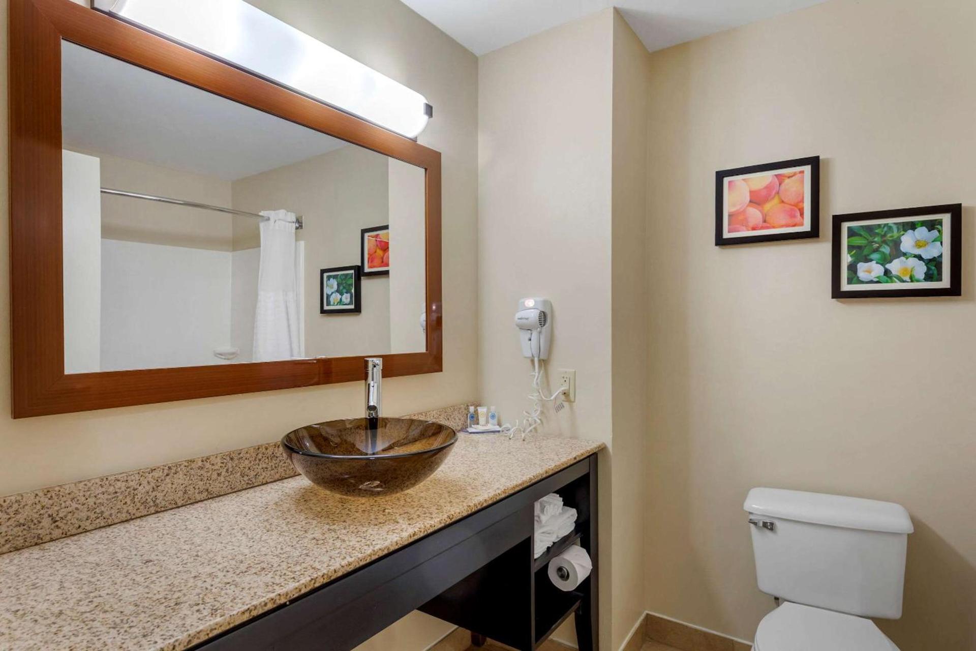 Comfort Inn & Suites Canton Riverstone Area photo 28