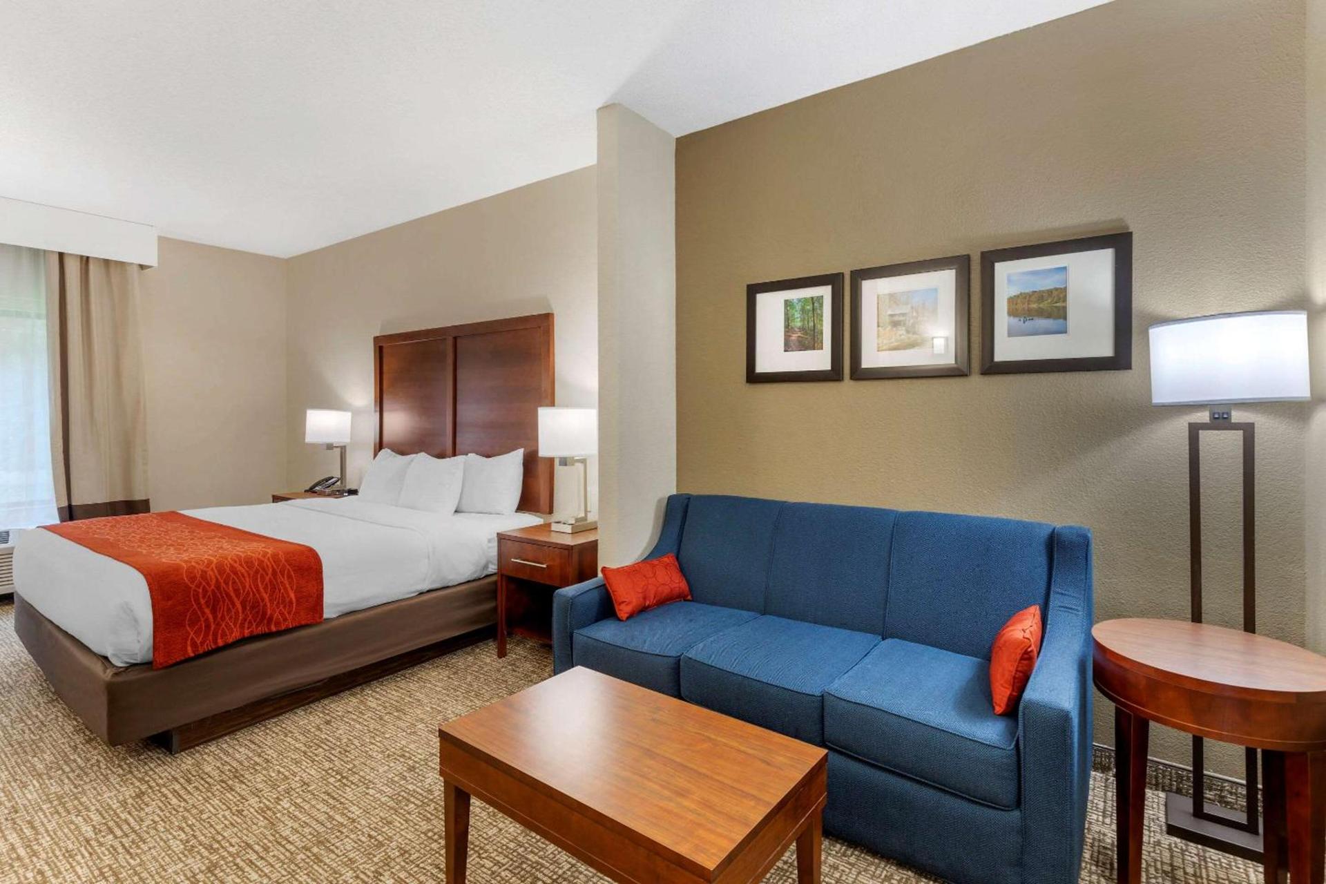 Comfort Inn & Suites Canton Riverstone Area photo 29