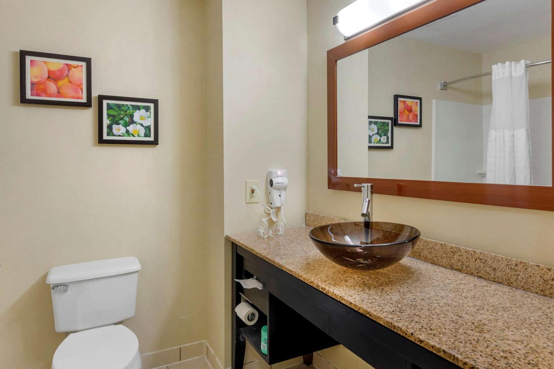 Comfort Inn & Suites Canton Riverstone Area photo 39