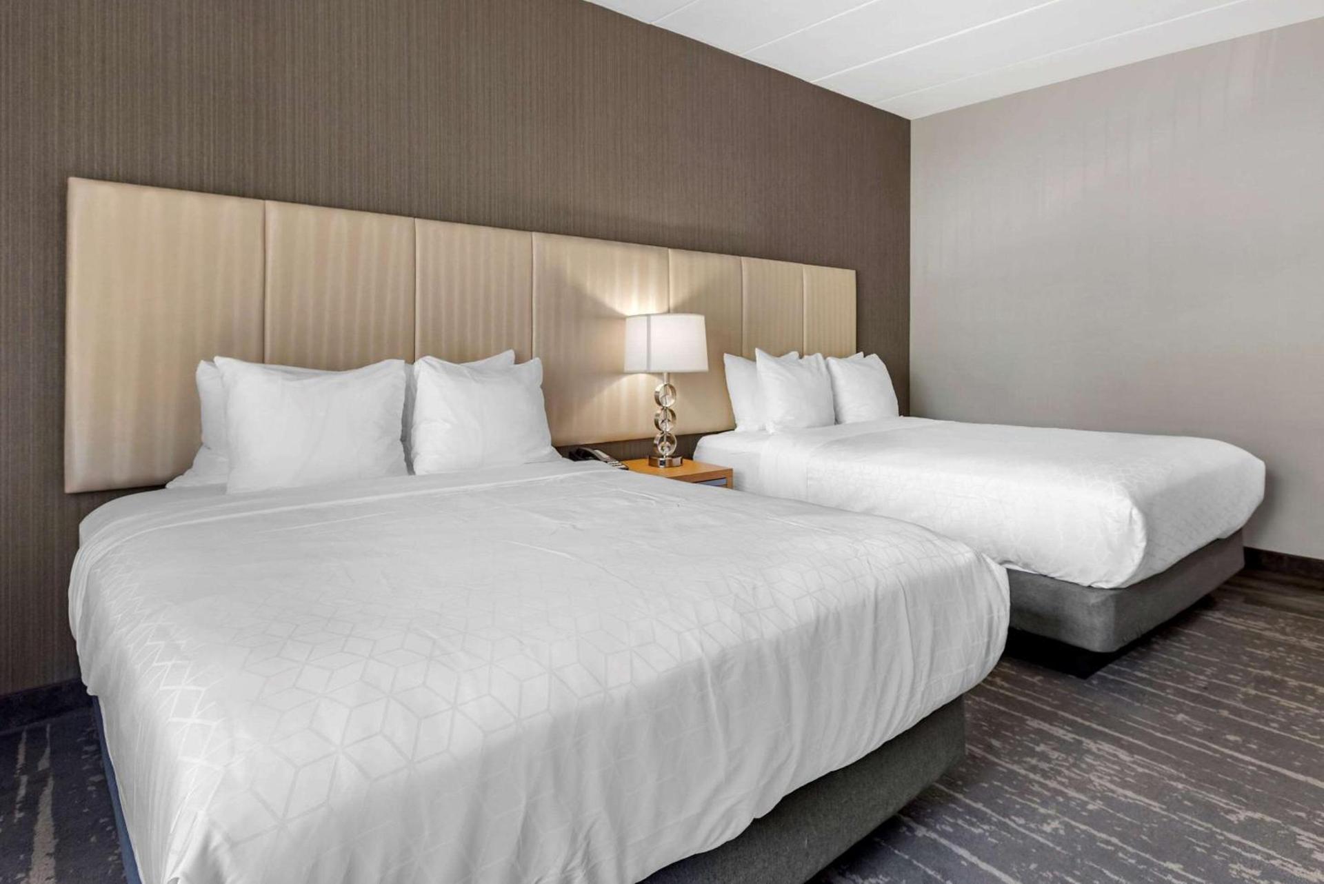 Somerset Lofts, Ascend Hotel Collection photo 8