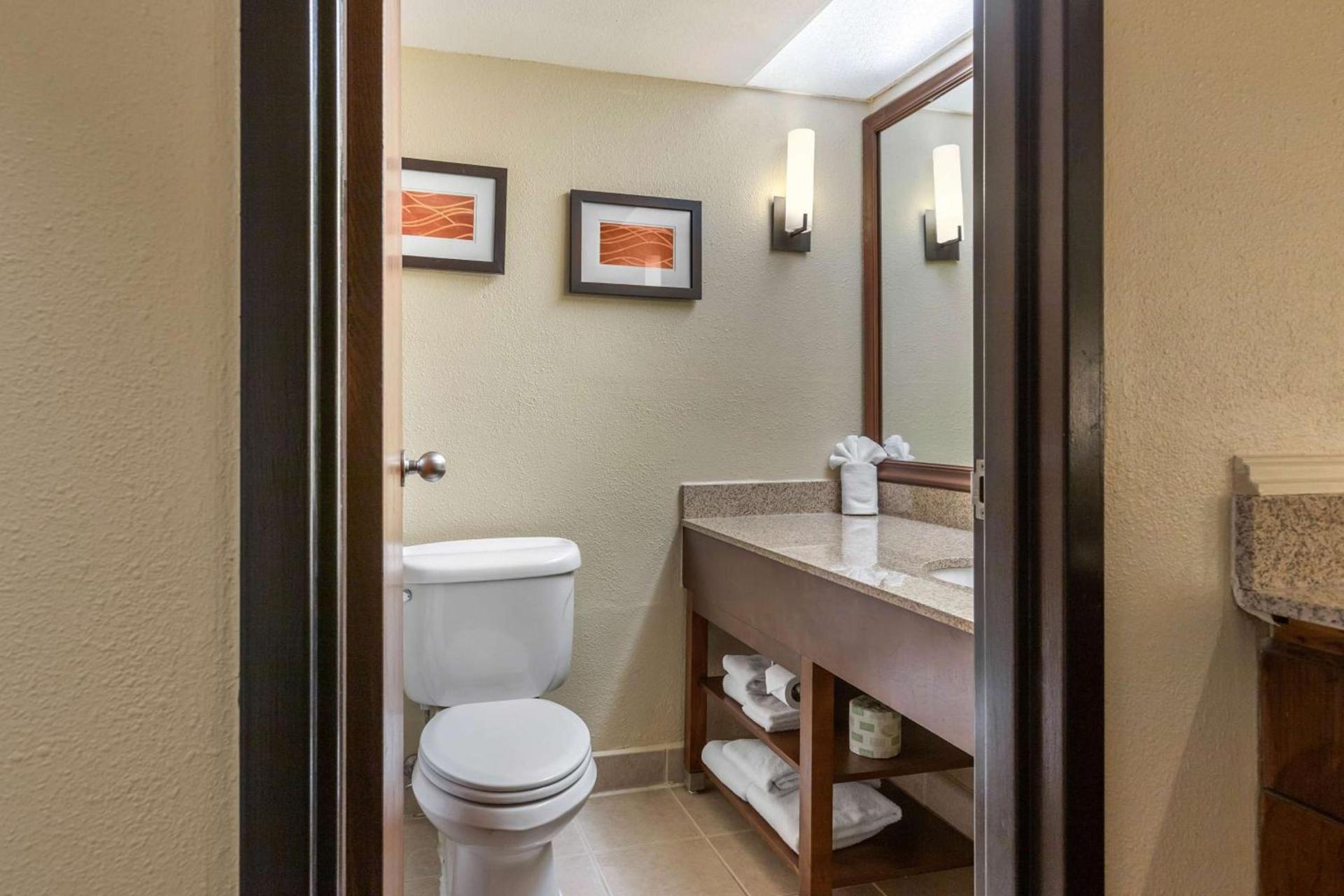 Comfort Inn Grand Rapids Airport photo 10