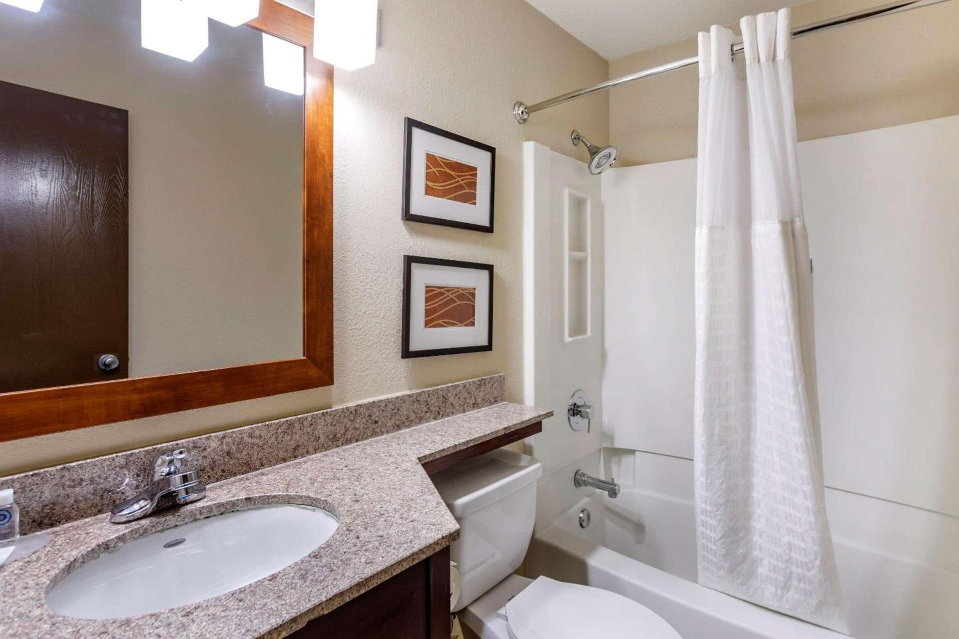 Comfort Inn Nashville West photo 16