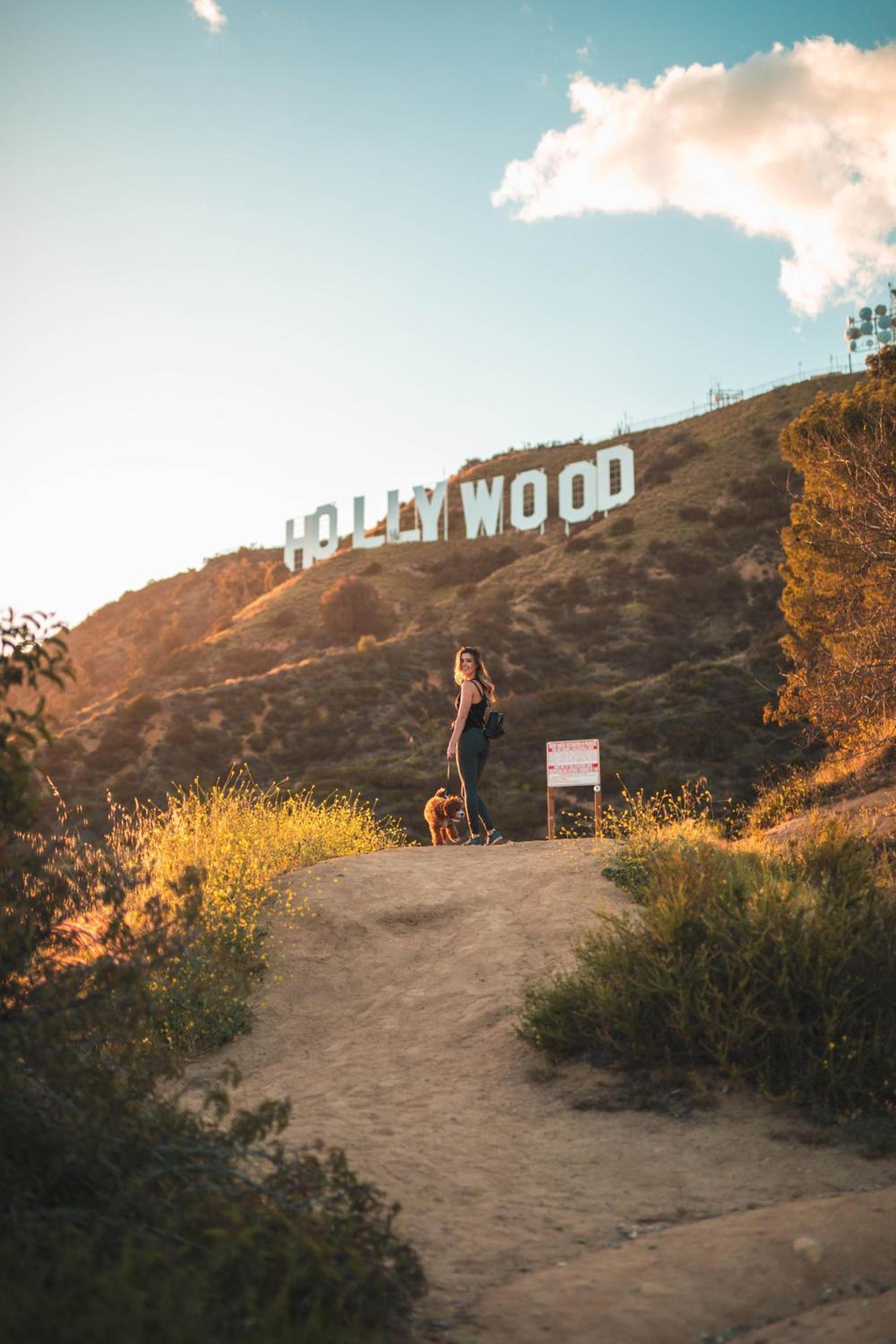 Montrose at Beverly Hills photo 19