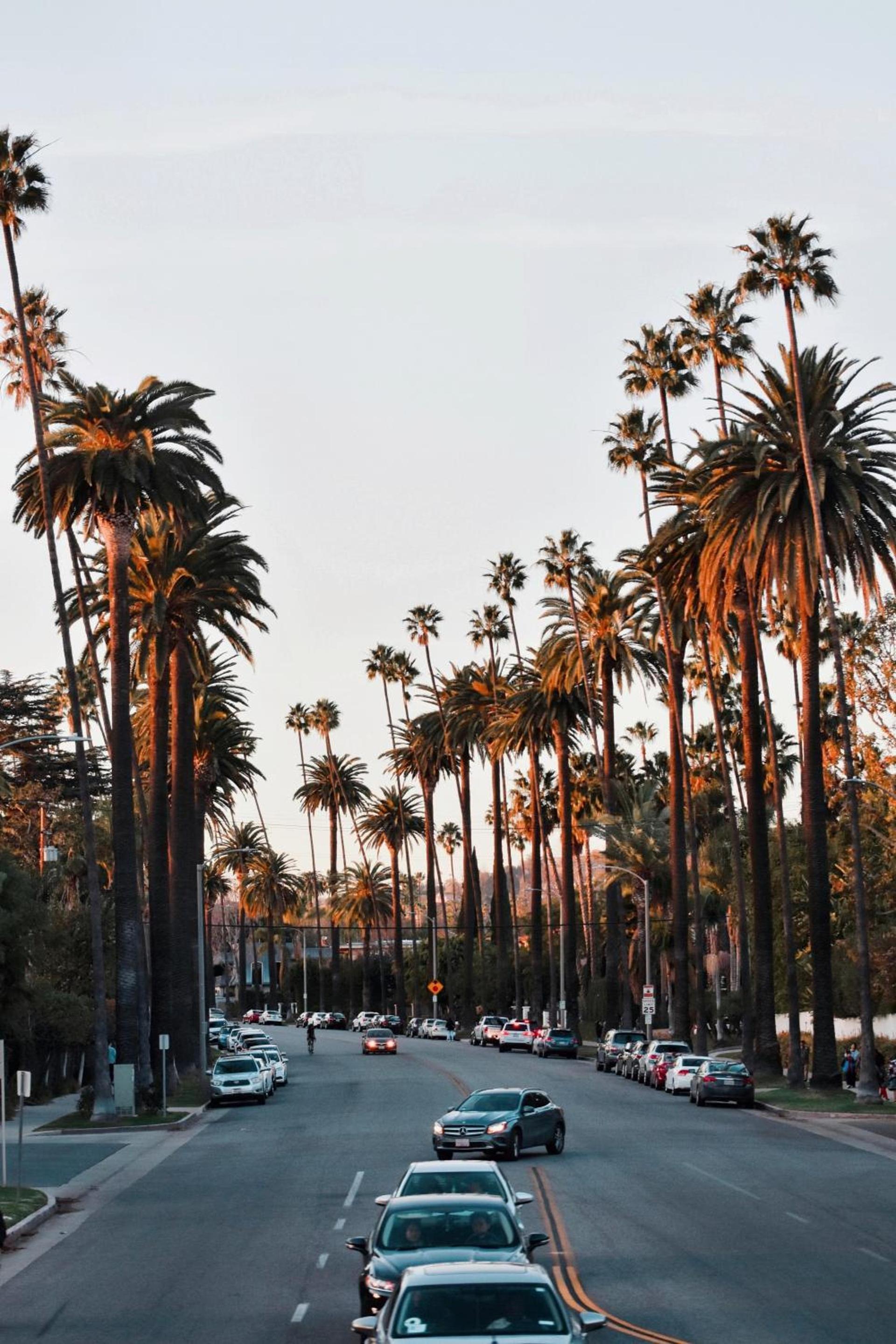 Montrose at Beverly Hills photo 61