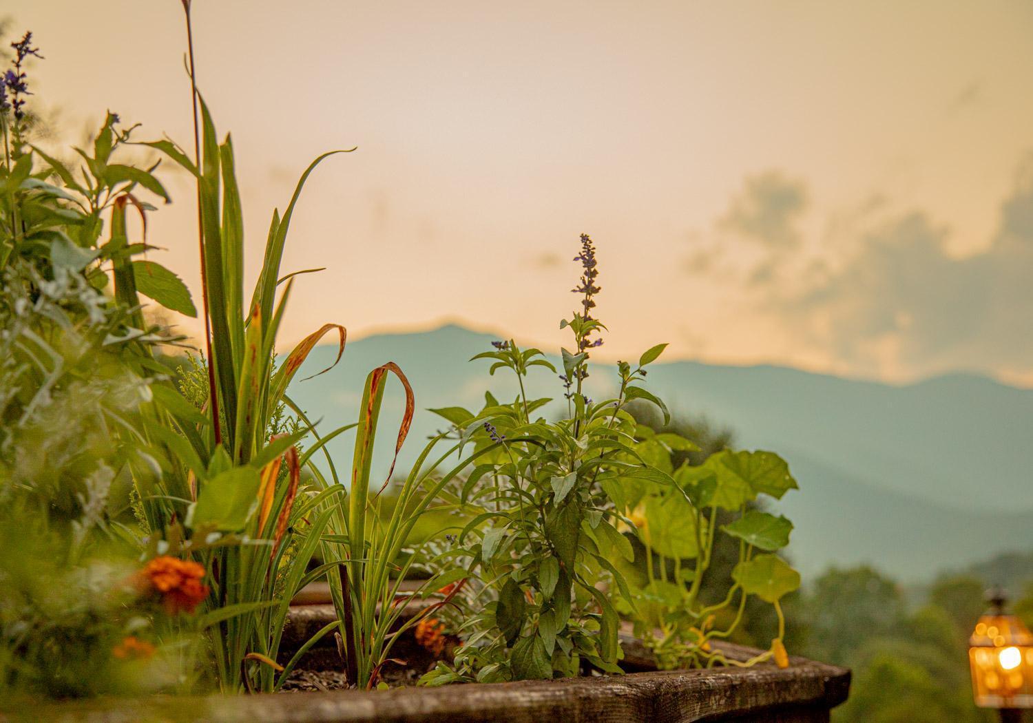 Mount Mitchell Eco Retreat photo 7