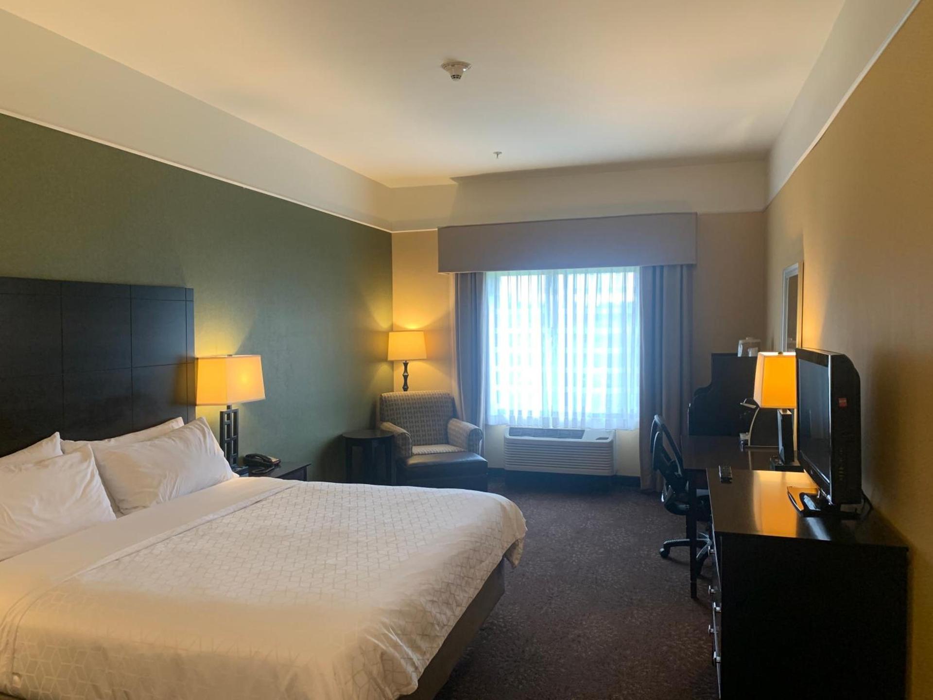 Holiday Inn Express Hotel & Suites Lansing-Dimondale by IHG photo 80