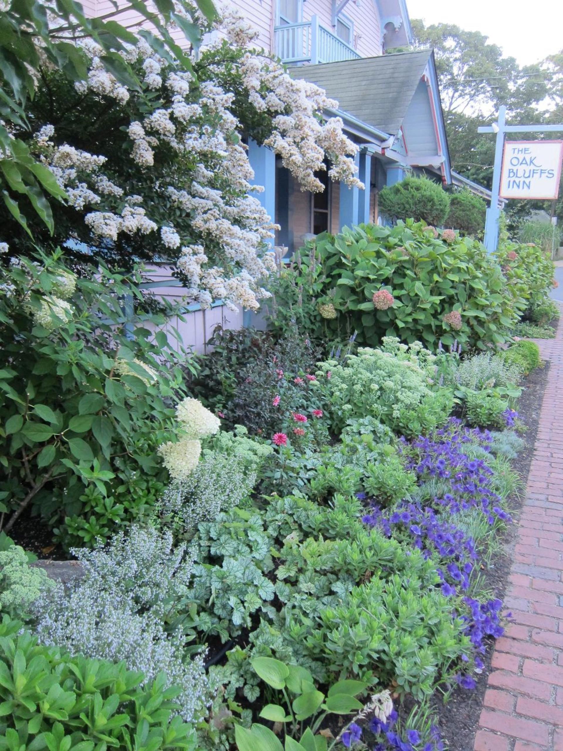 The Oak Bluffs Inn photo 13