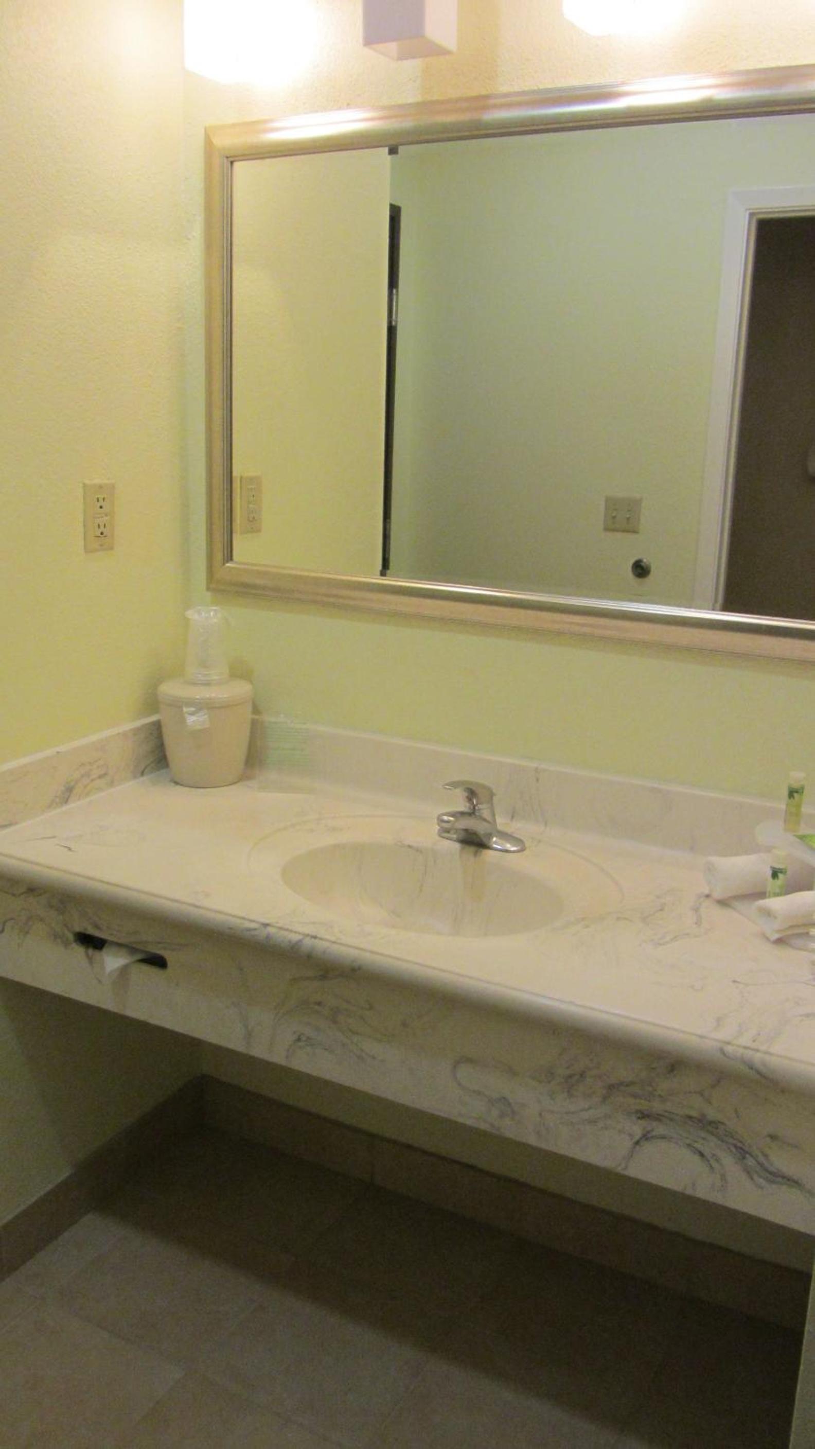 Holiday Inn Express Hotel & Suites Houston North Intercontinental by IHG photo 25