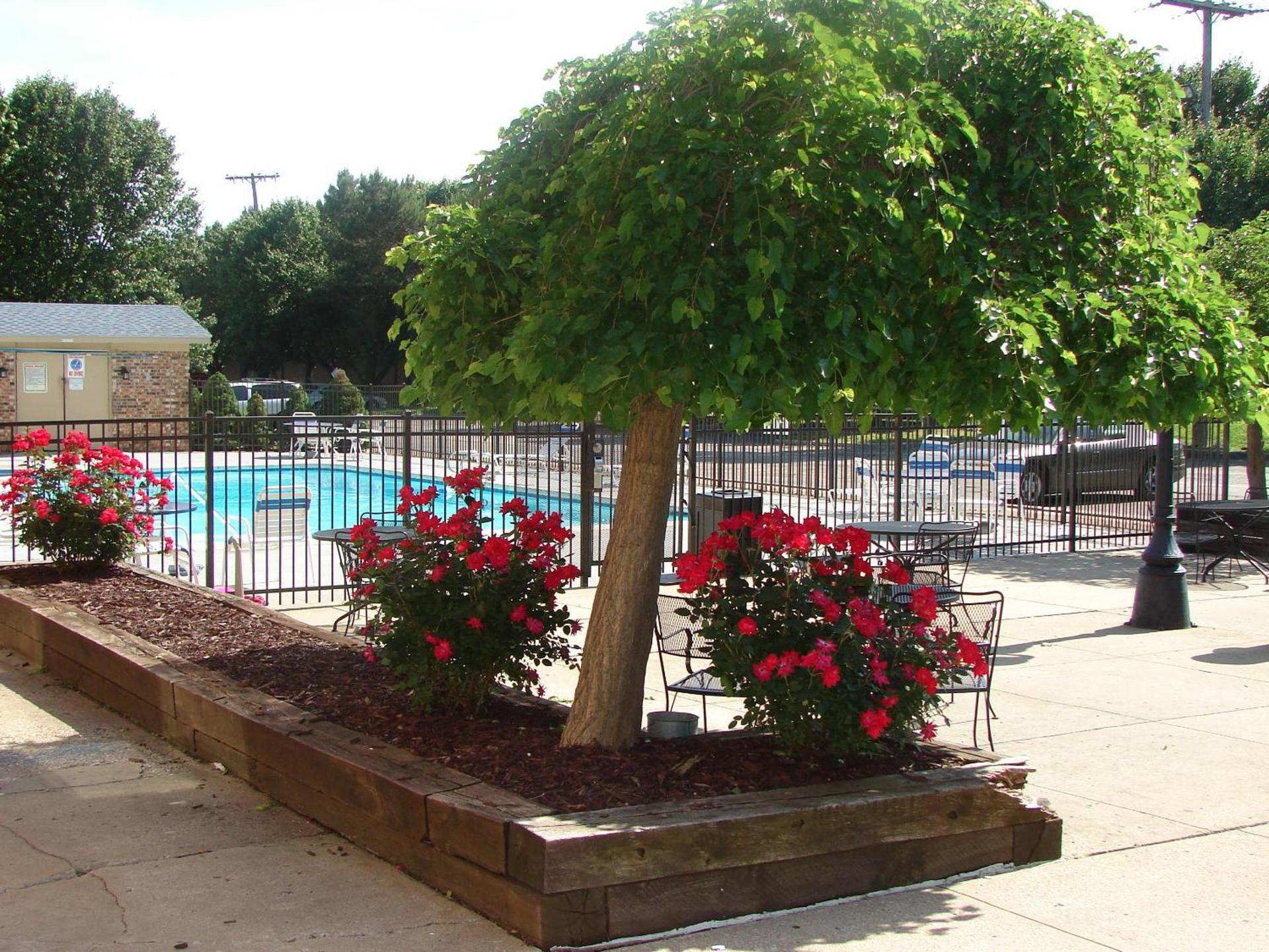 American Inn North Kansas City photo 2