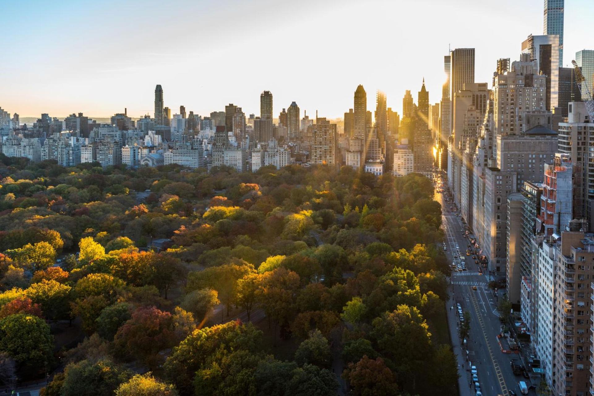 Thompson Central Park New York, by Hyatt photo 47