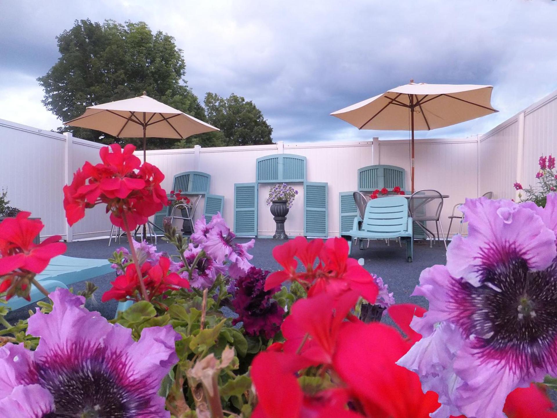 Windsor Motel photo 10