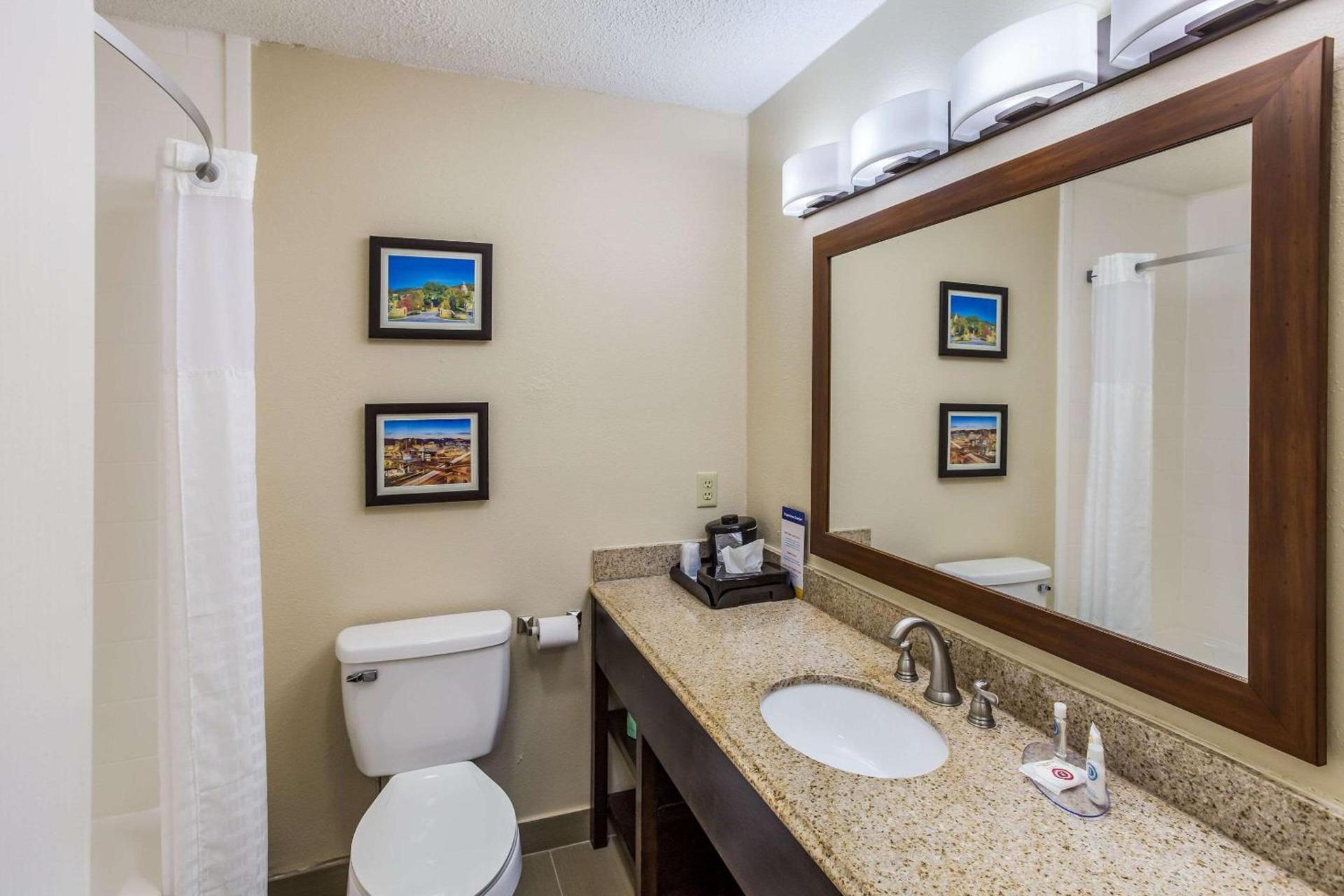 Comfort Inn Charleston South photo 29