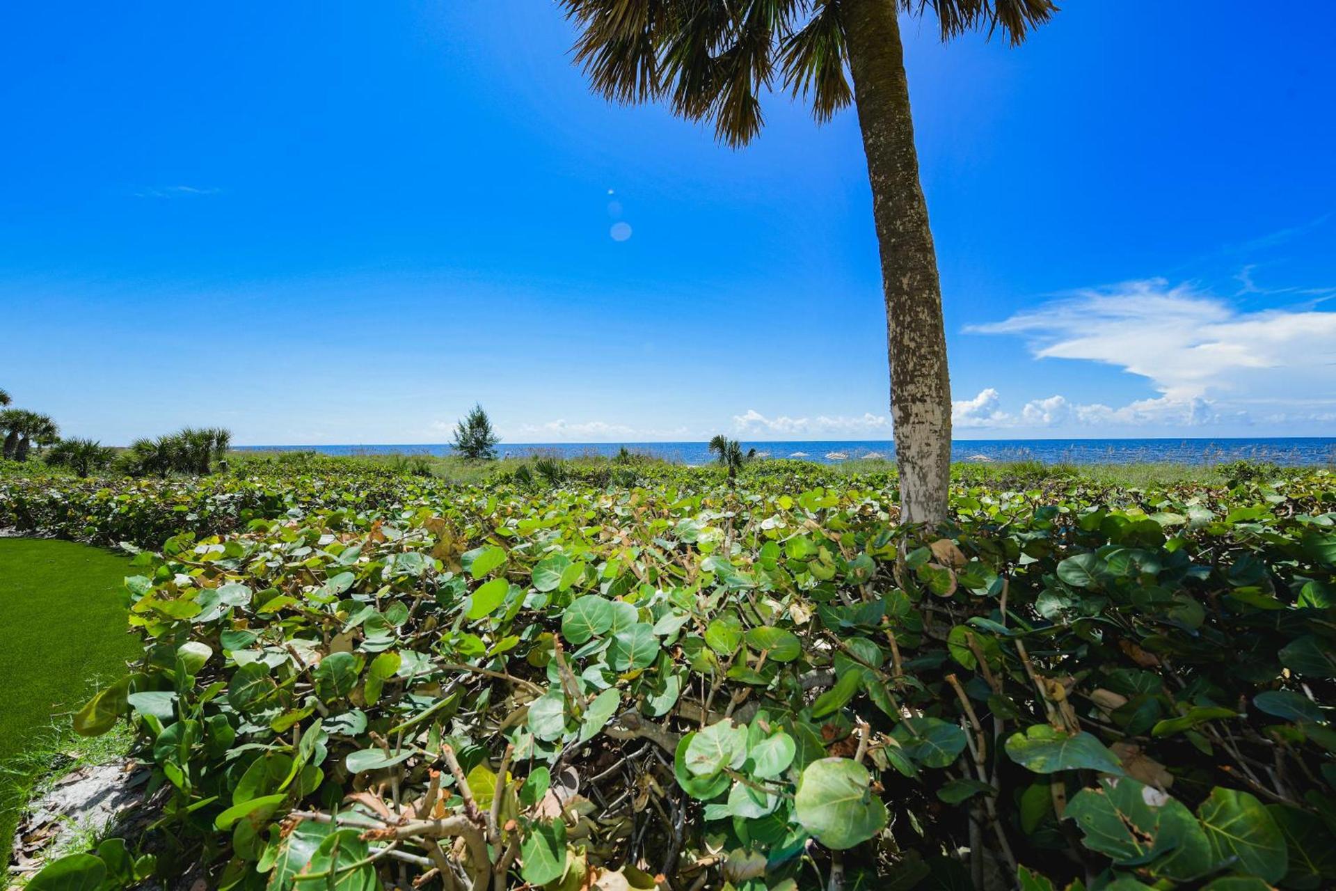 Casey Key Resorts - Beachfront photo 55
