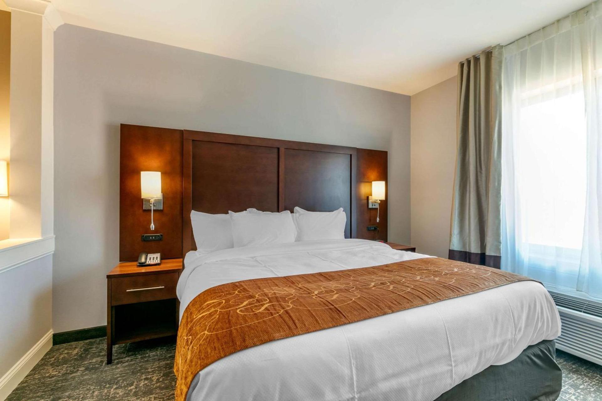 Comfort Suites North Tupelo photo 15