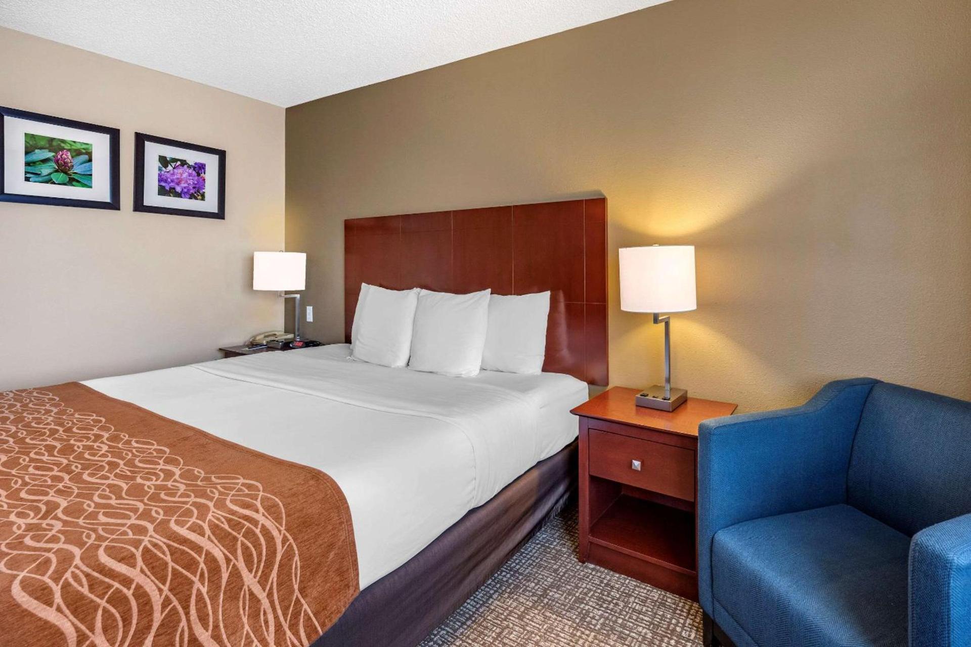 Comfort Inn & Suites Kelso - Longview photo 8