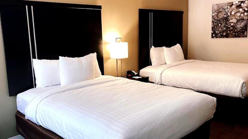Clarion Inn & Suites Florence - Darlington photo 33