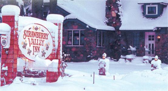 Strawberry Valley Inn photo 7